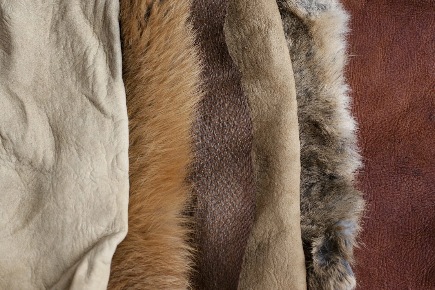 Close-up of various textured and colored animal fur and leather hides.