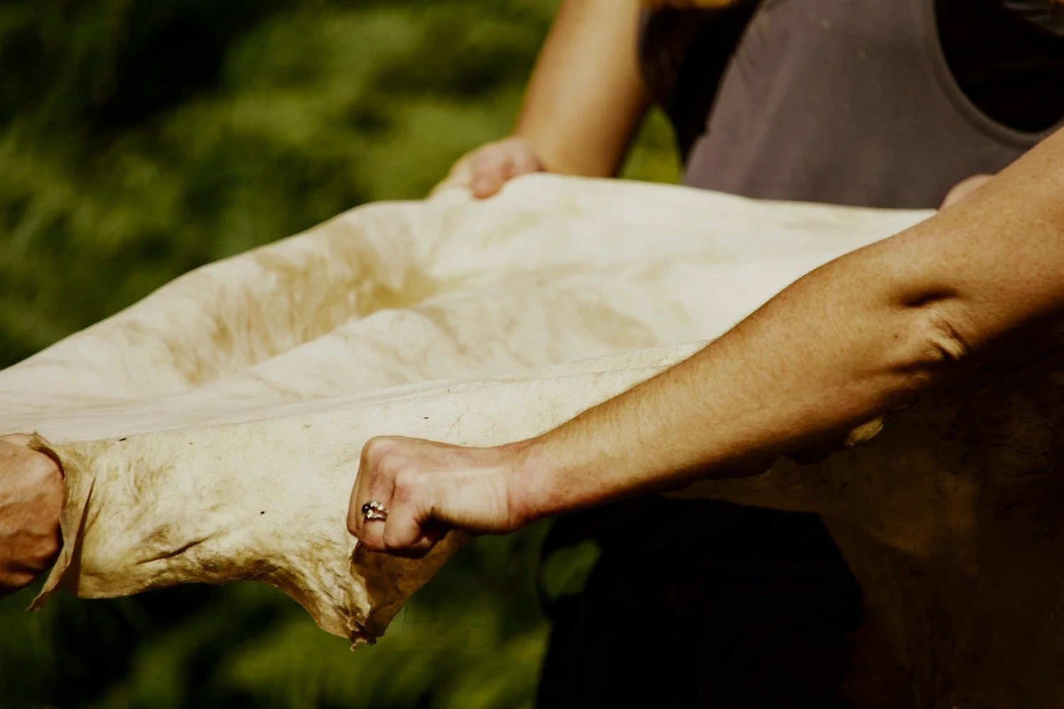 Person holding a large piece of animal hide outdoors.