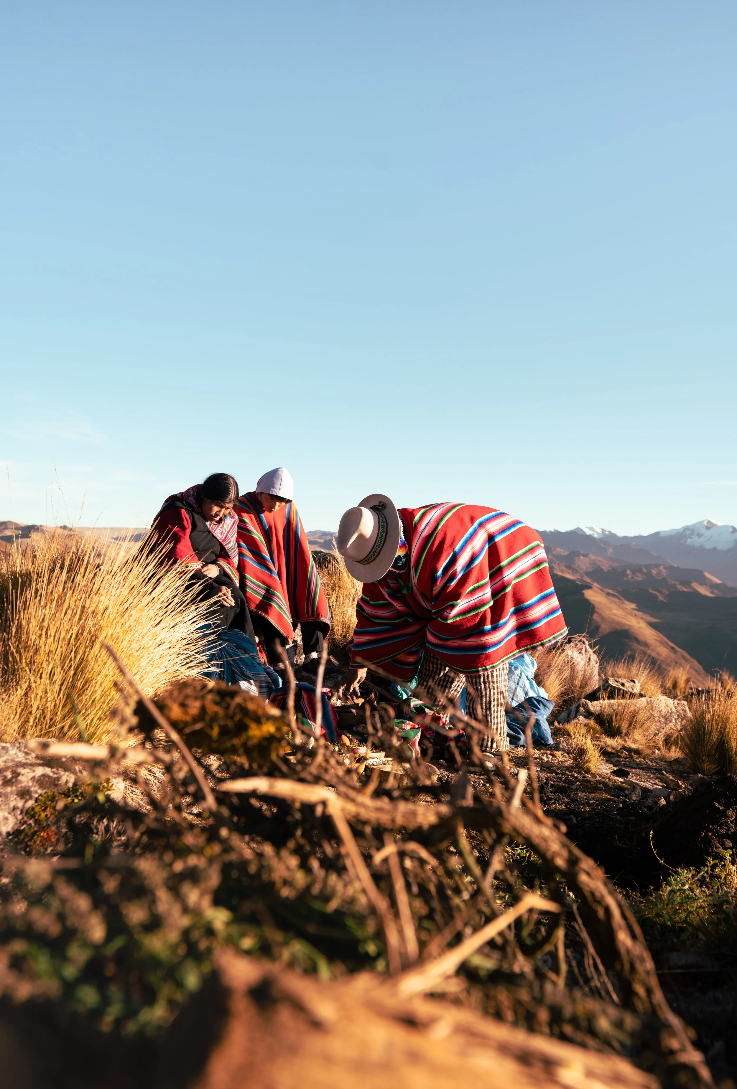 Group of Indigenous people wearing traditional colorful striped clothing working in a field with mountains in the background under a clear blue sky.