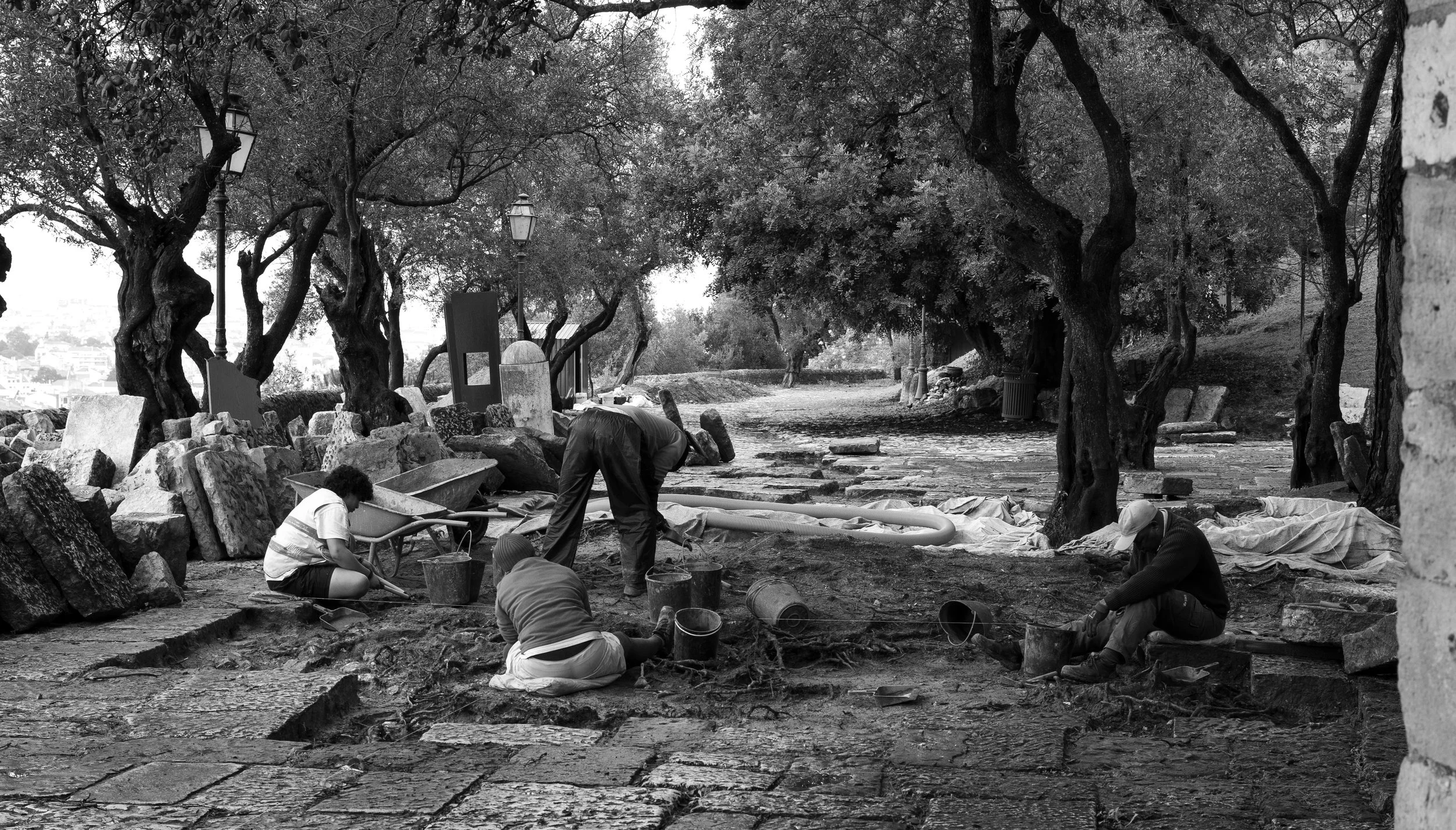 Men working on a construction or landscaping project in a park with large trees and a pathway, black and white photo.