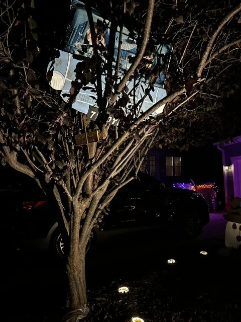 R&H in tree.jpeg
