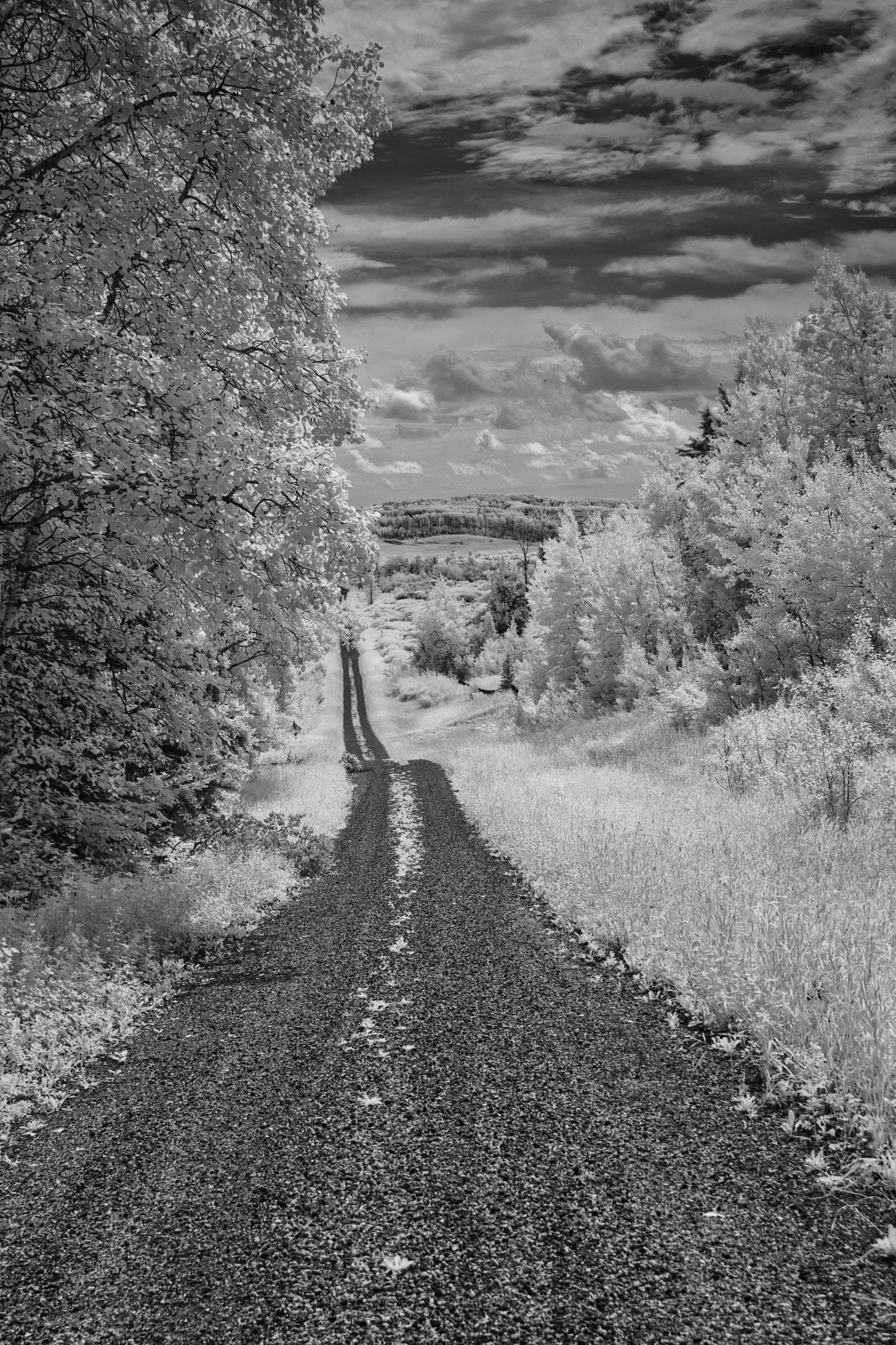 The Road Ahead | Polonia, Manitoba