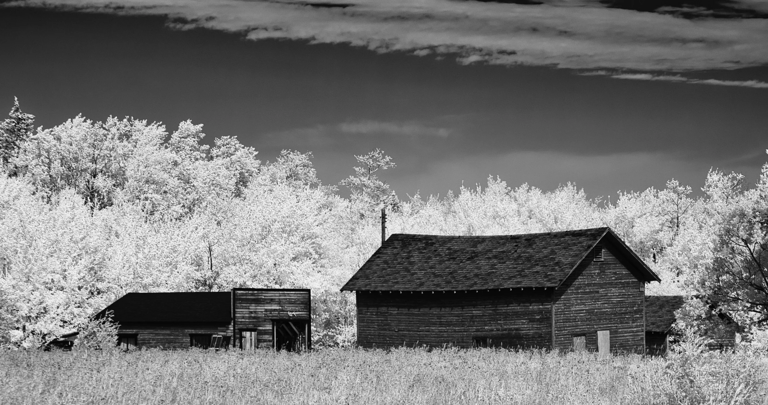 At the Edge of the Field | Hecla, Manitoba