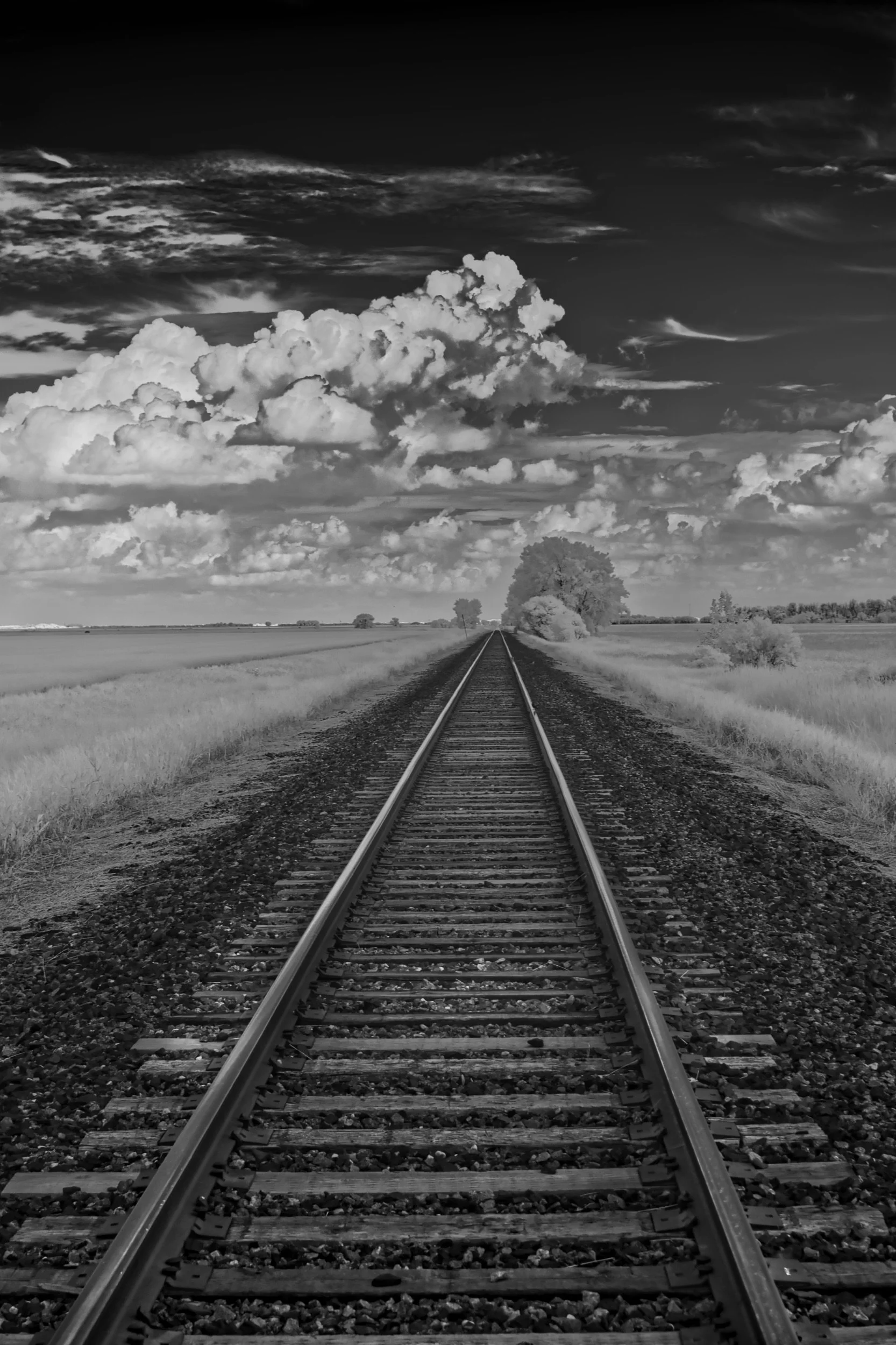 Black and white photo of railroad tracks stretching into the distance through a rural landscape with open fields, trees, dramatic clouds, and a cloudy sky.