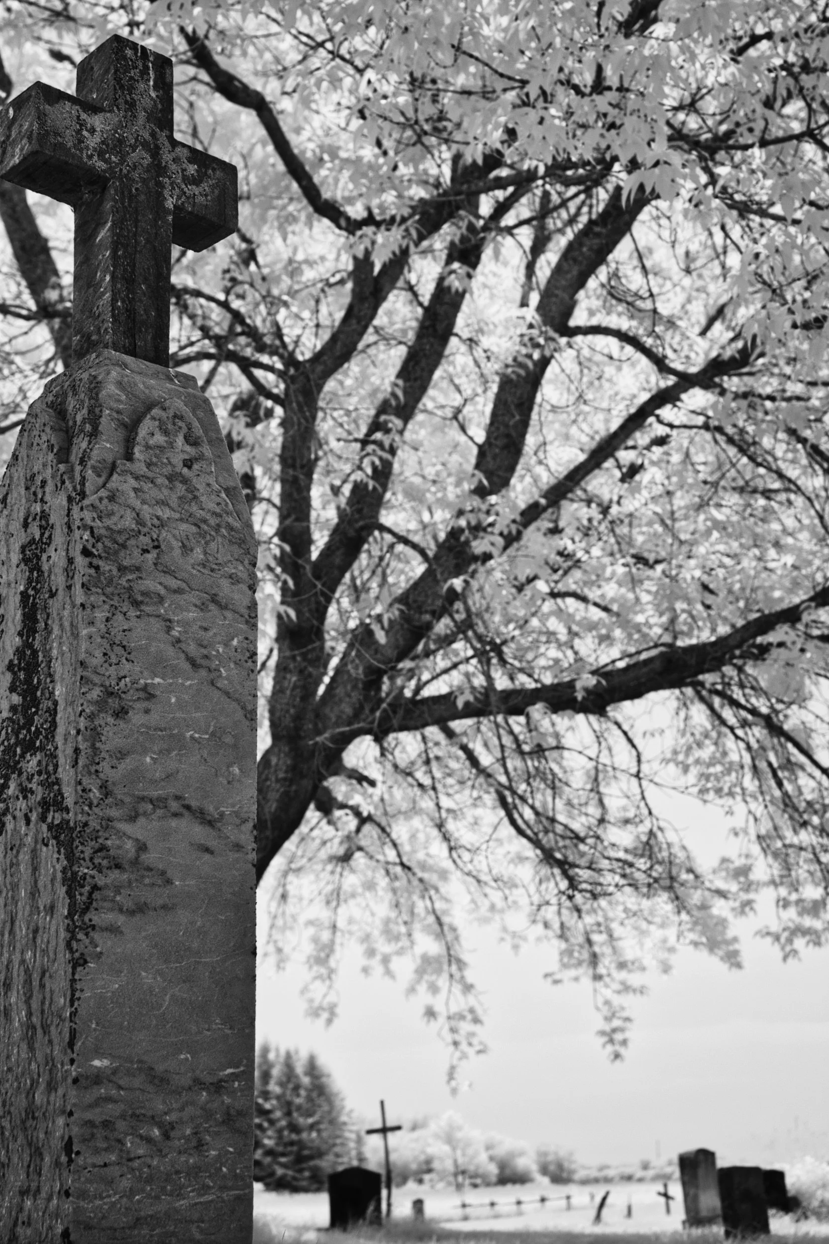 Standing Witness | St. Peter, Dynevor Old Stone Church, Selkirk, Manitoba