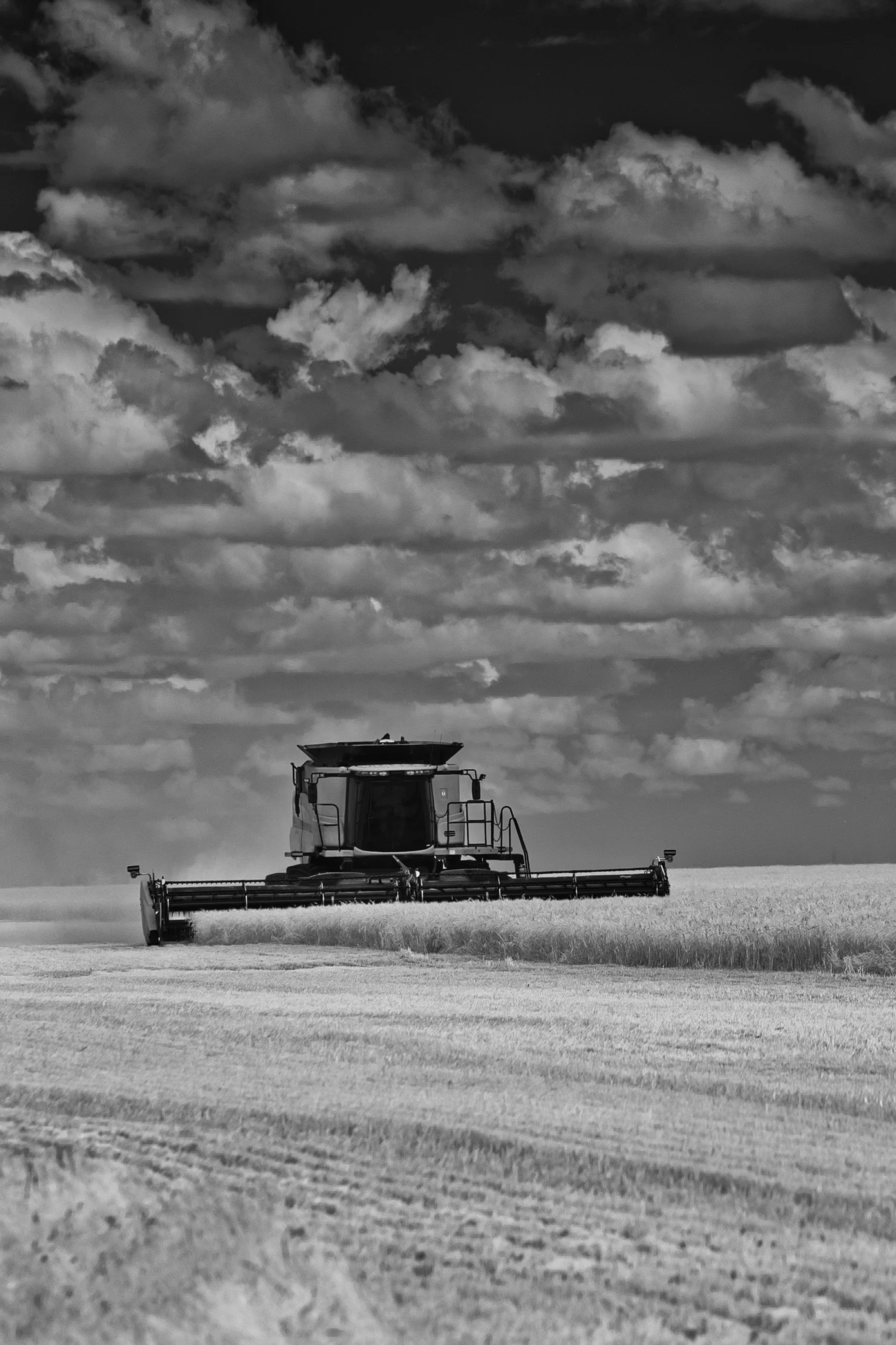 The Long Field | St. Francois Xavier, Manitoba
