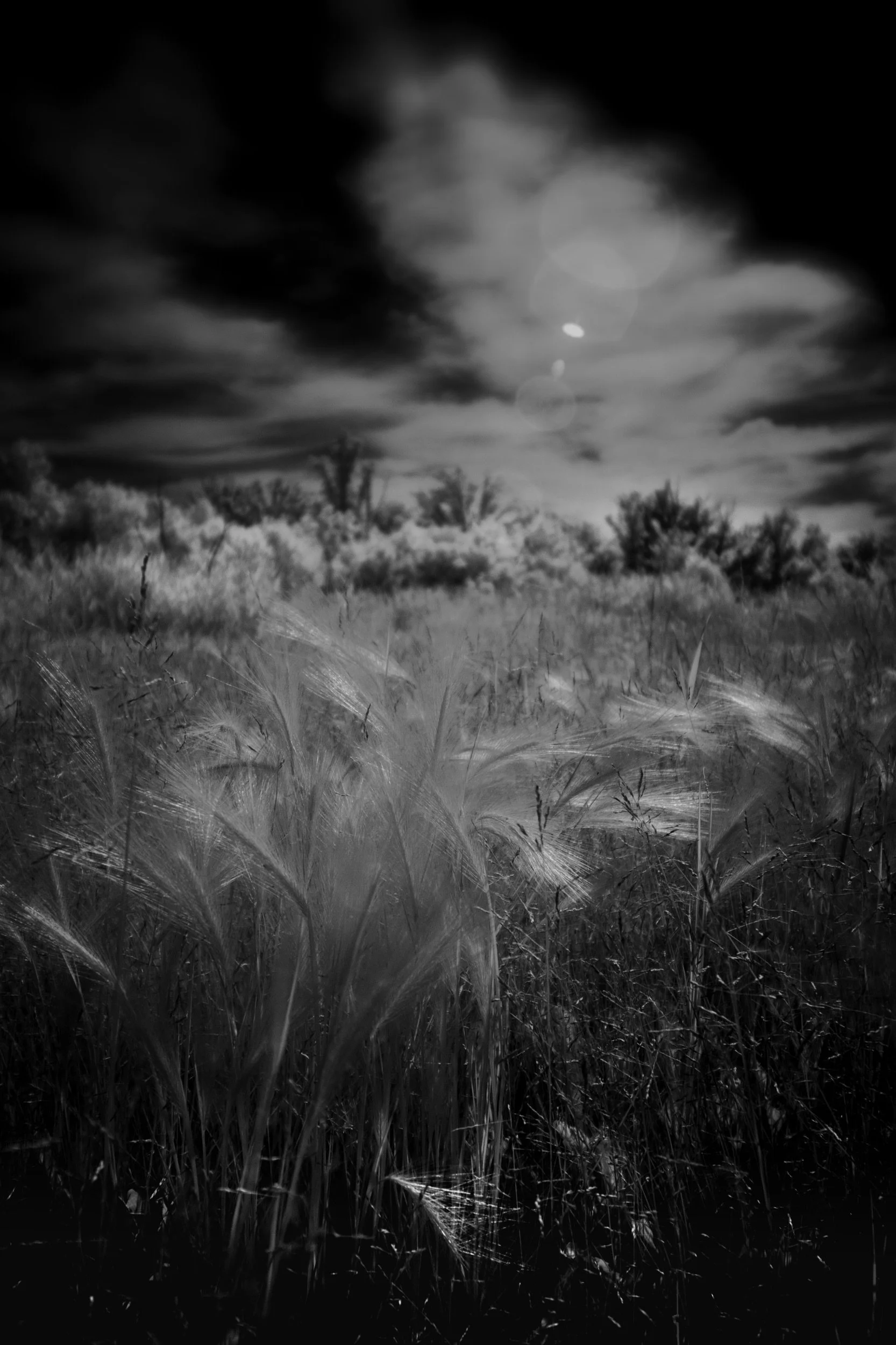 Prairie Wind | Highway 16, Manitoba