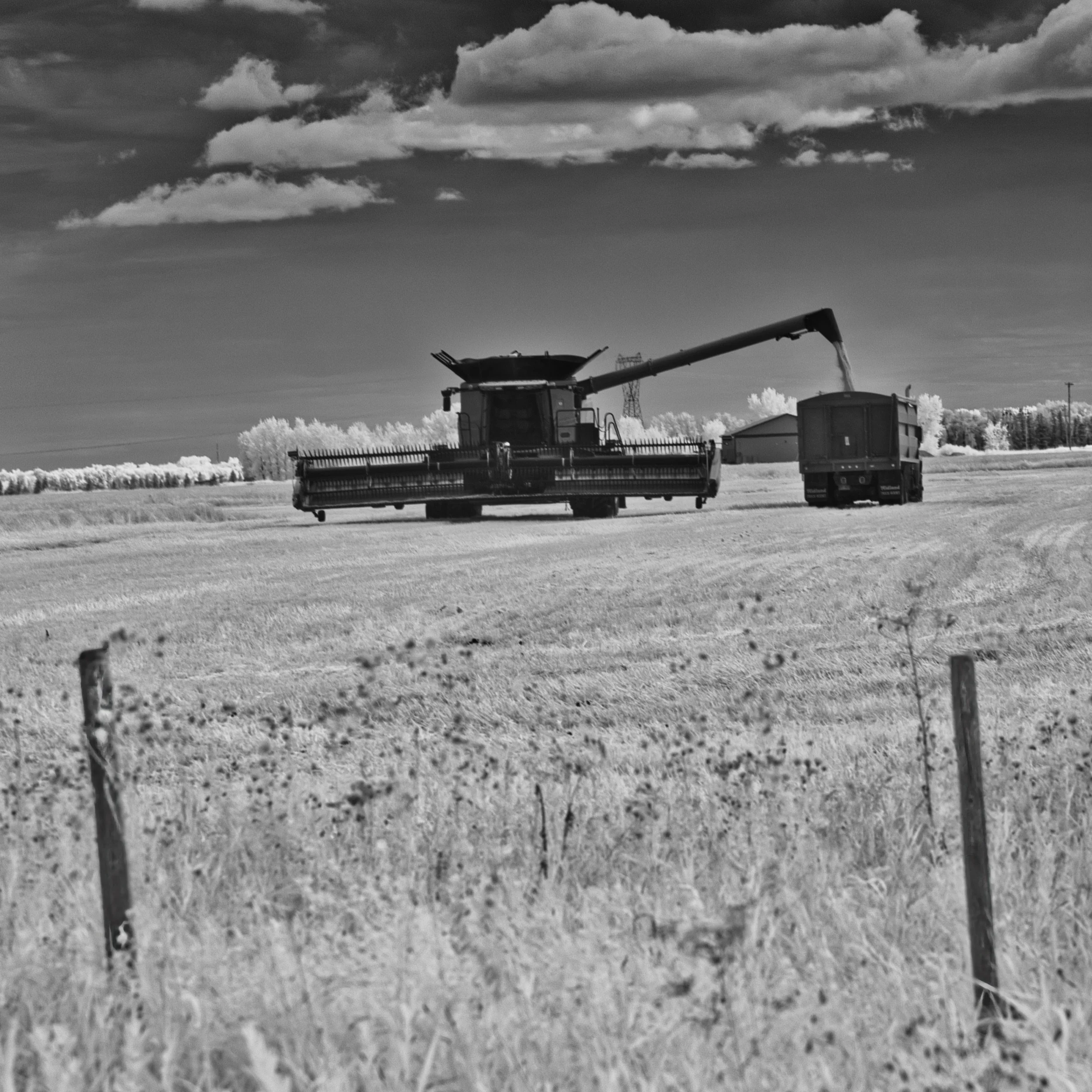 The Transfer | St. Francois Xavier, Manitoba