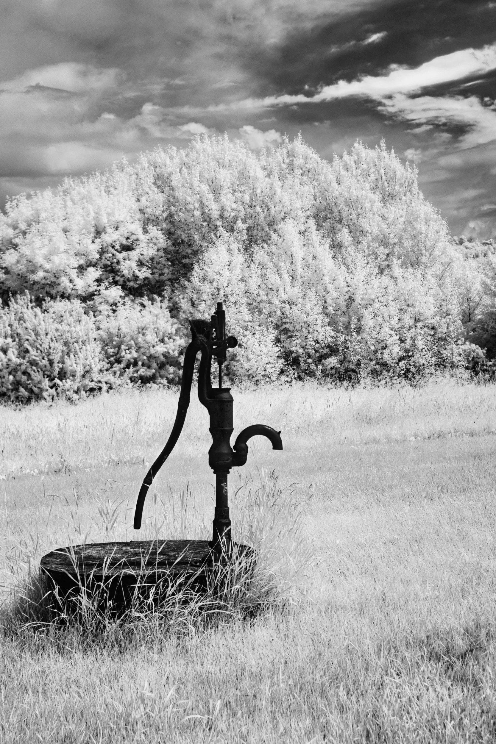 The Hand Pump | Polonia, Manitoba