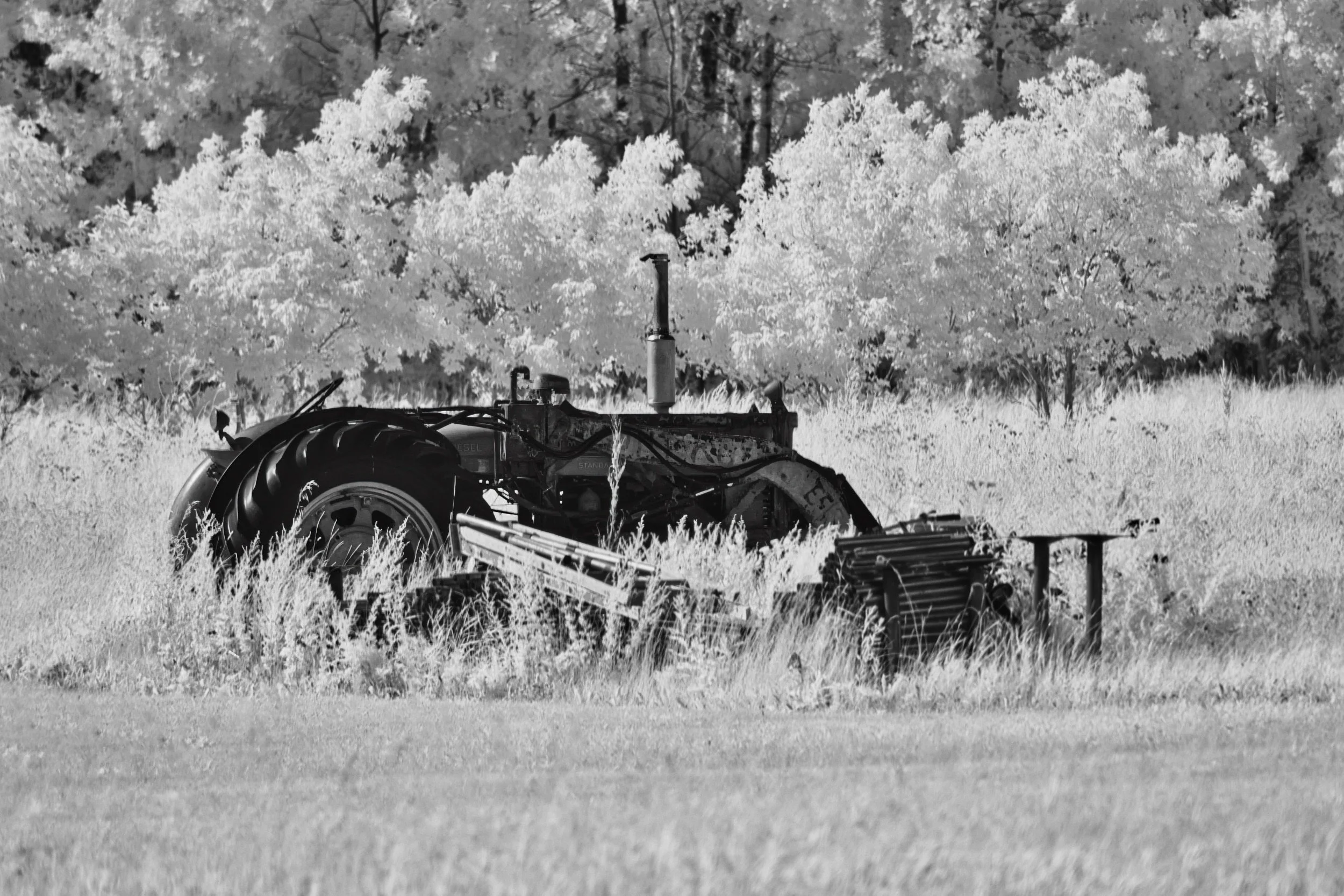 Left in the Field | Hecla, Manitoba