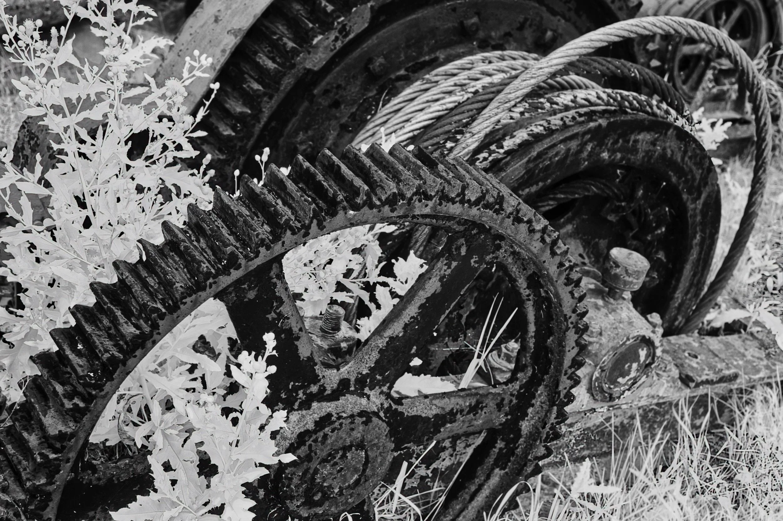 Reclamation | Selkirk, Manitoba