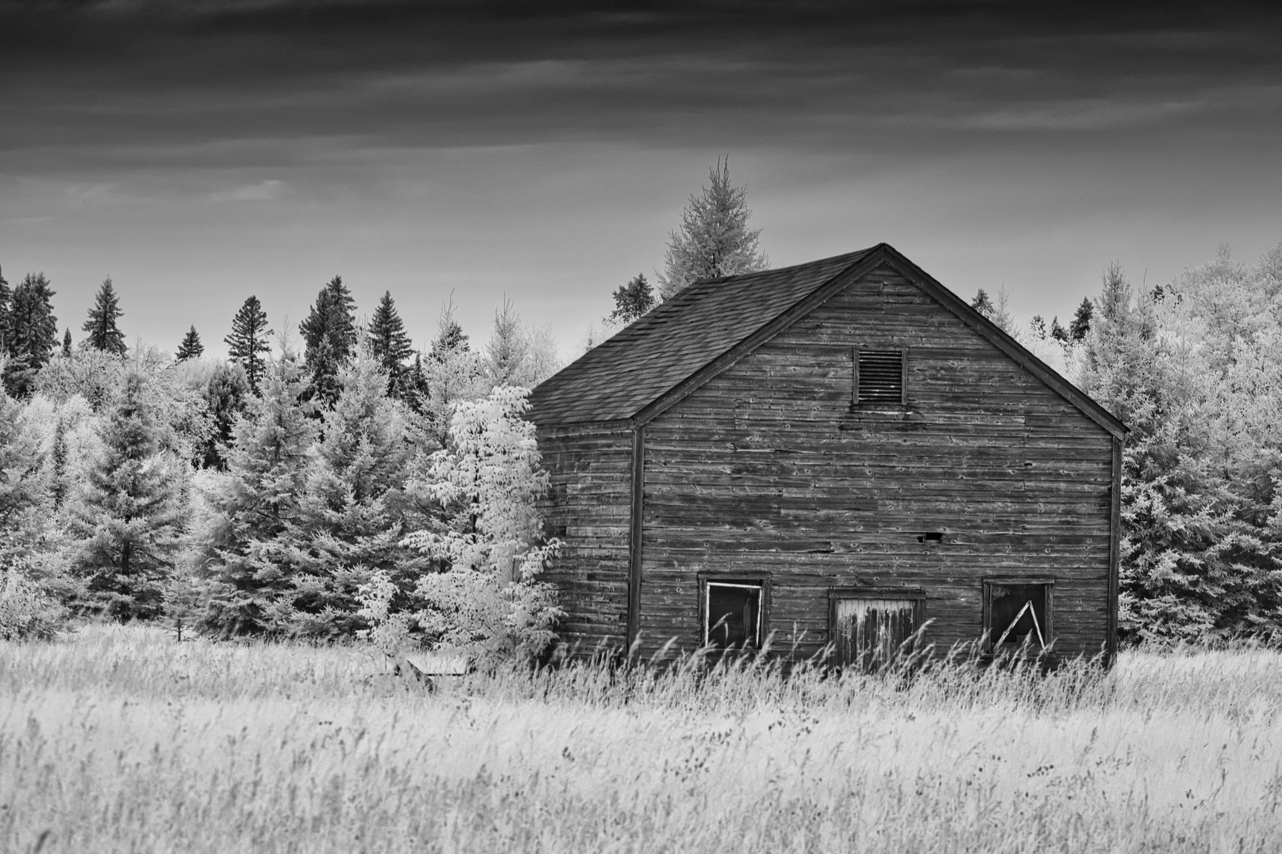 Still Standing | Hecla, Manitoba
