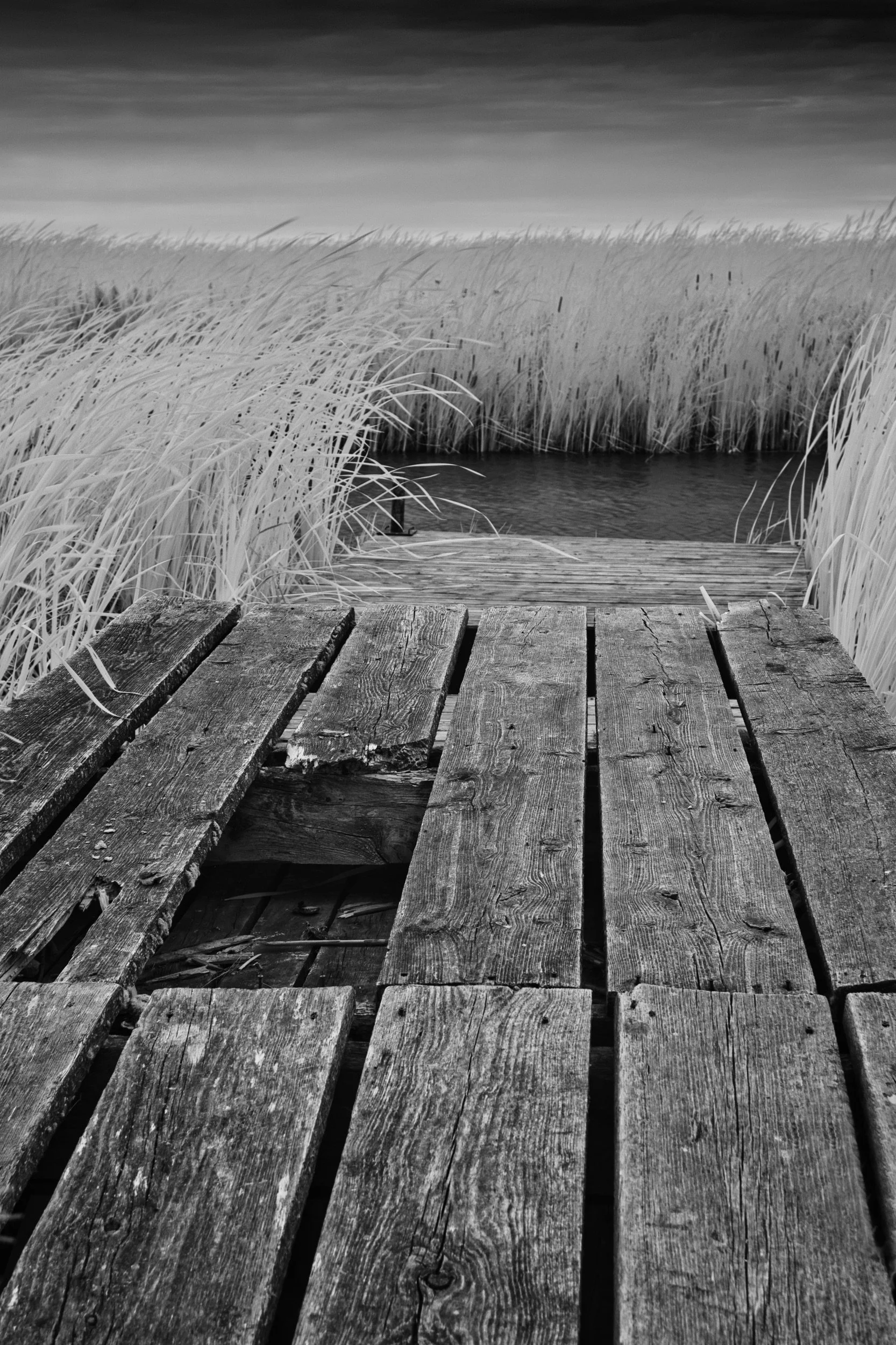 Reclaimed Shore | Hecla, Manitoba