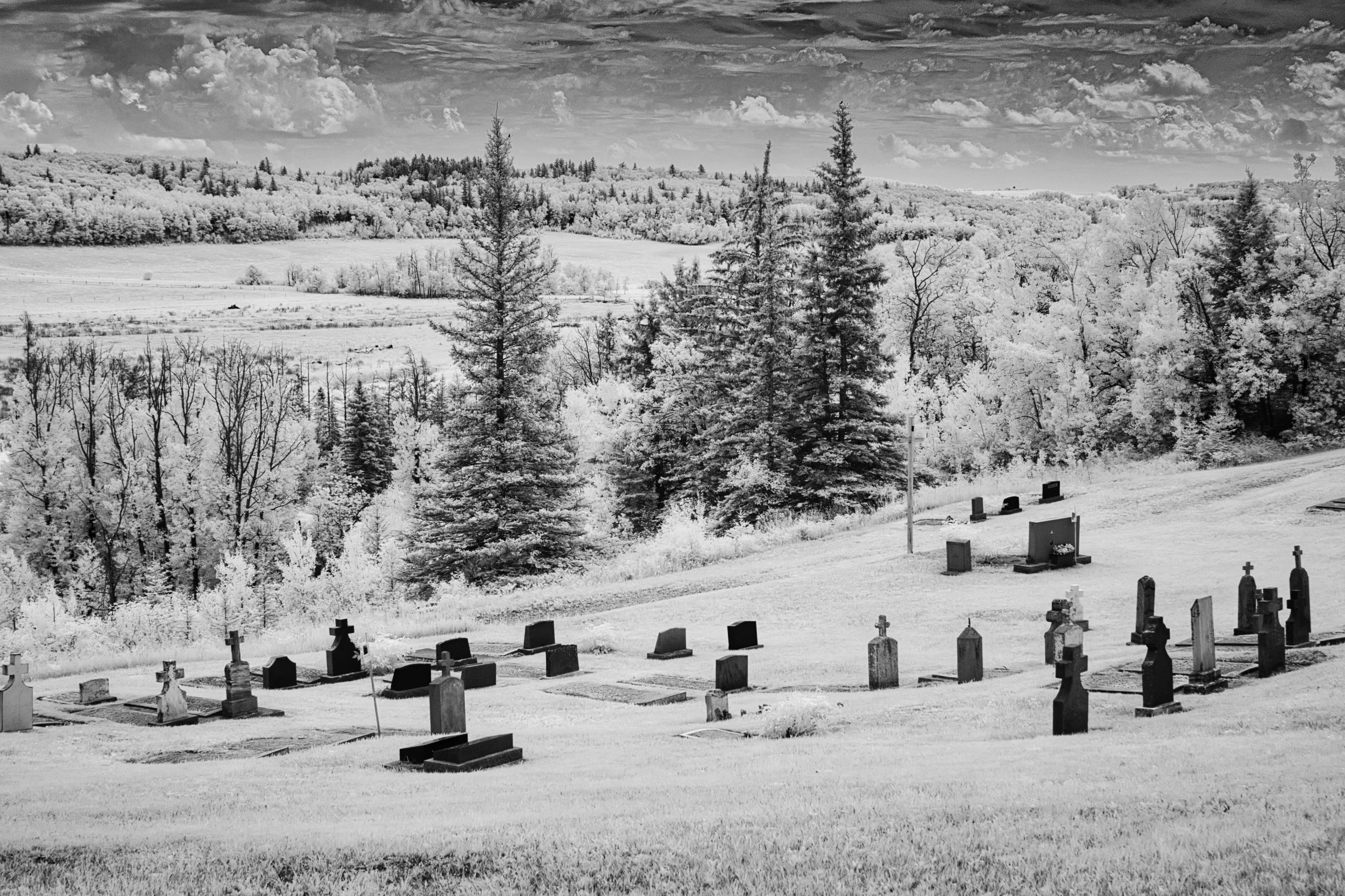 Among the Stones | Polonia, Manitoba