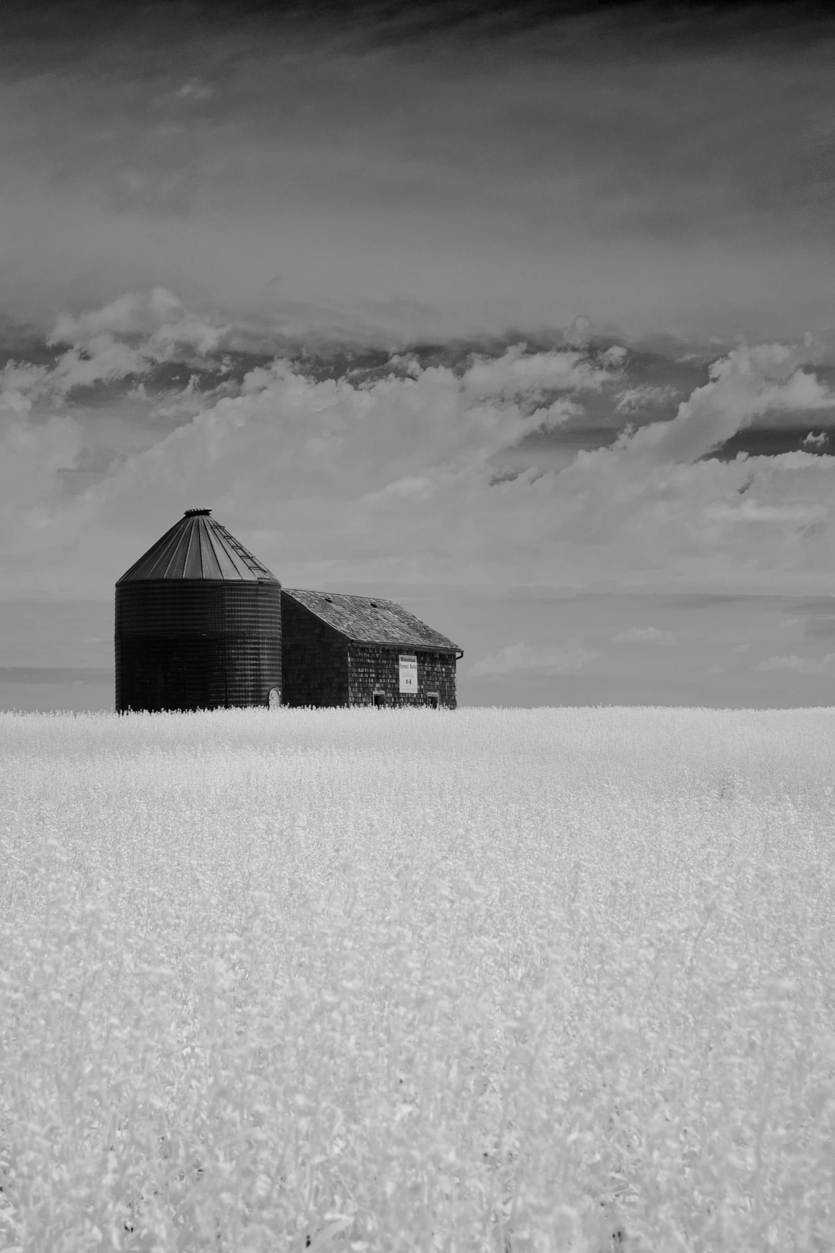 Lone Granary | Minnedosa, Manitoba