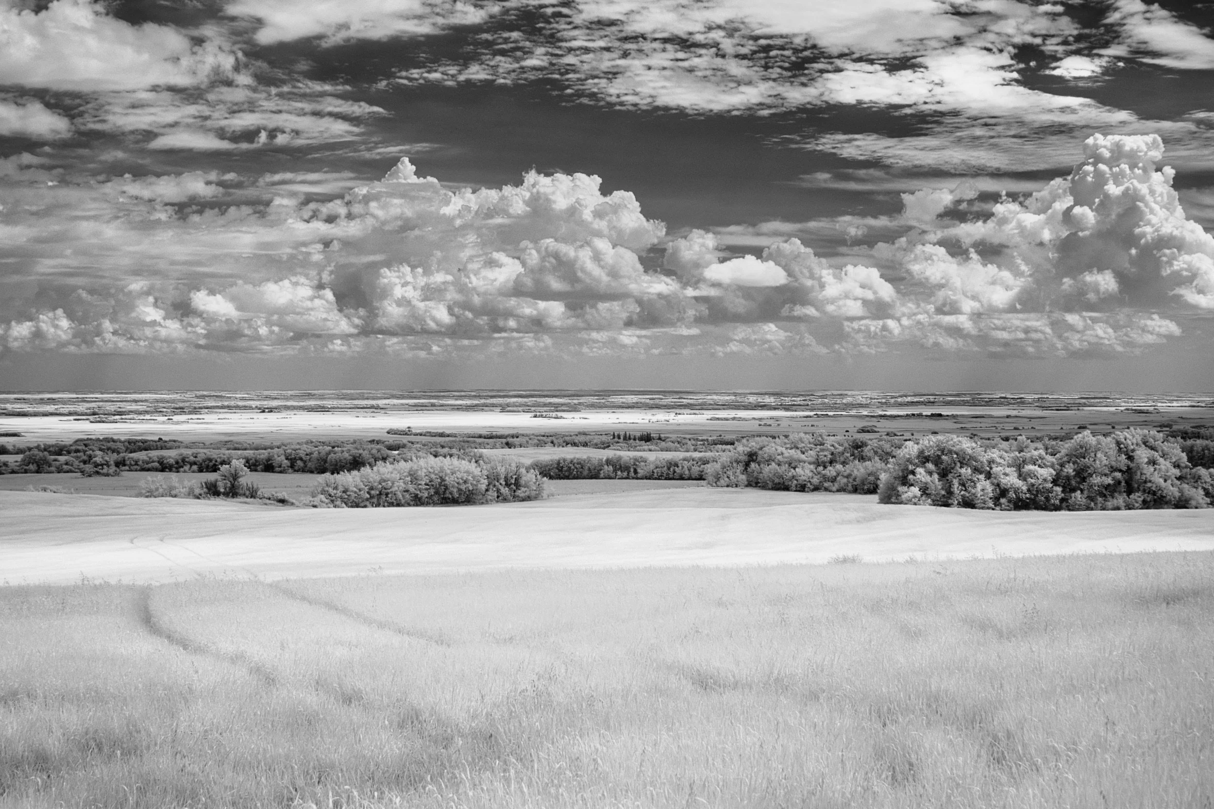 Cloud Study | Polonia, Manitoba