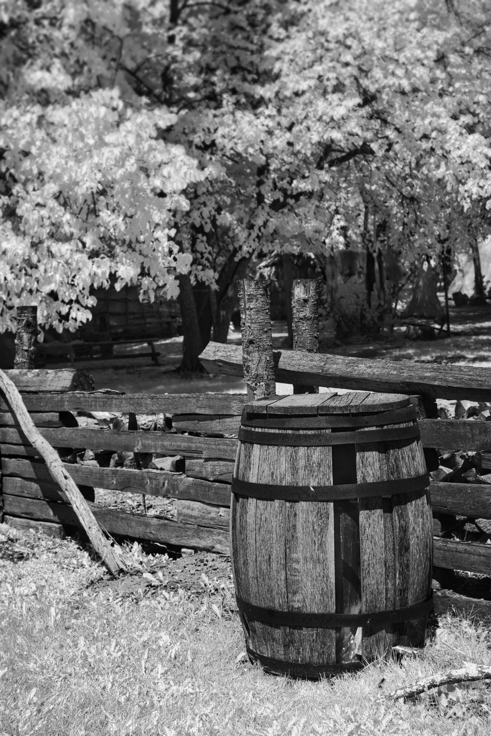 Barrel | Lower Fort Garry, Manitoba