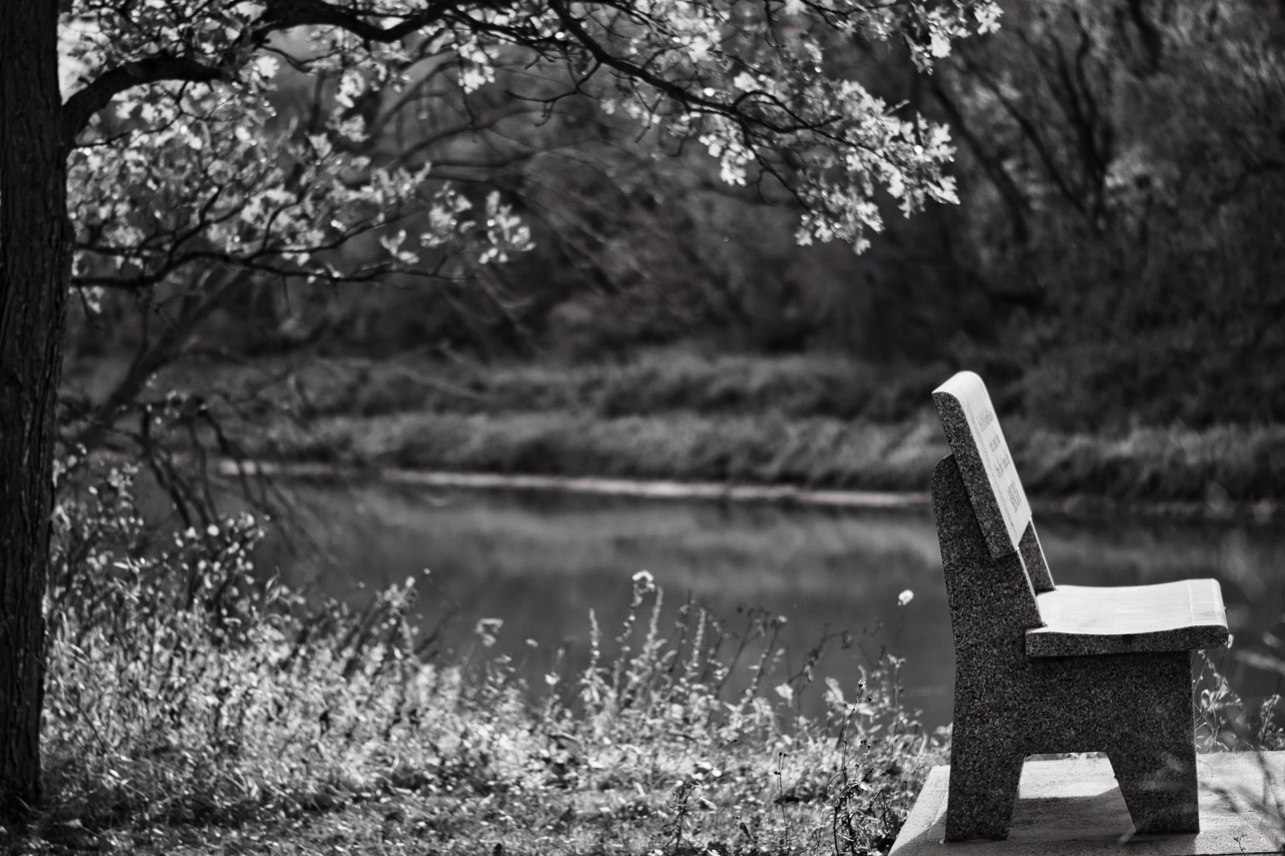 A Place to Rest | Beaudry Provincial Park, St. Francois Xavier, Manitoba