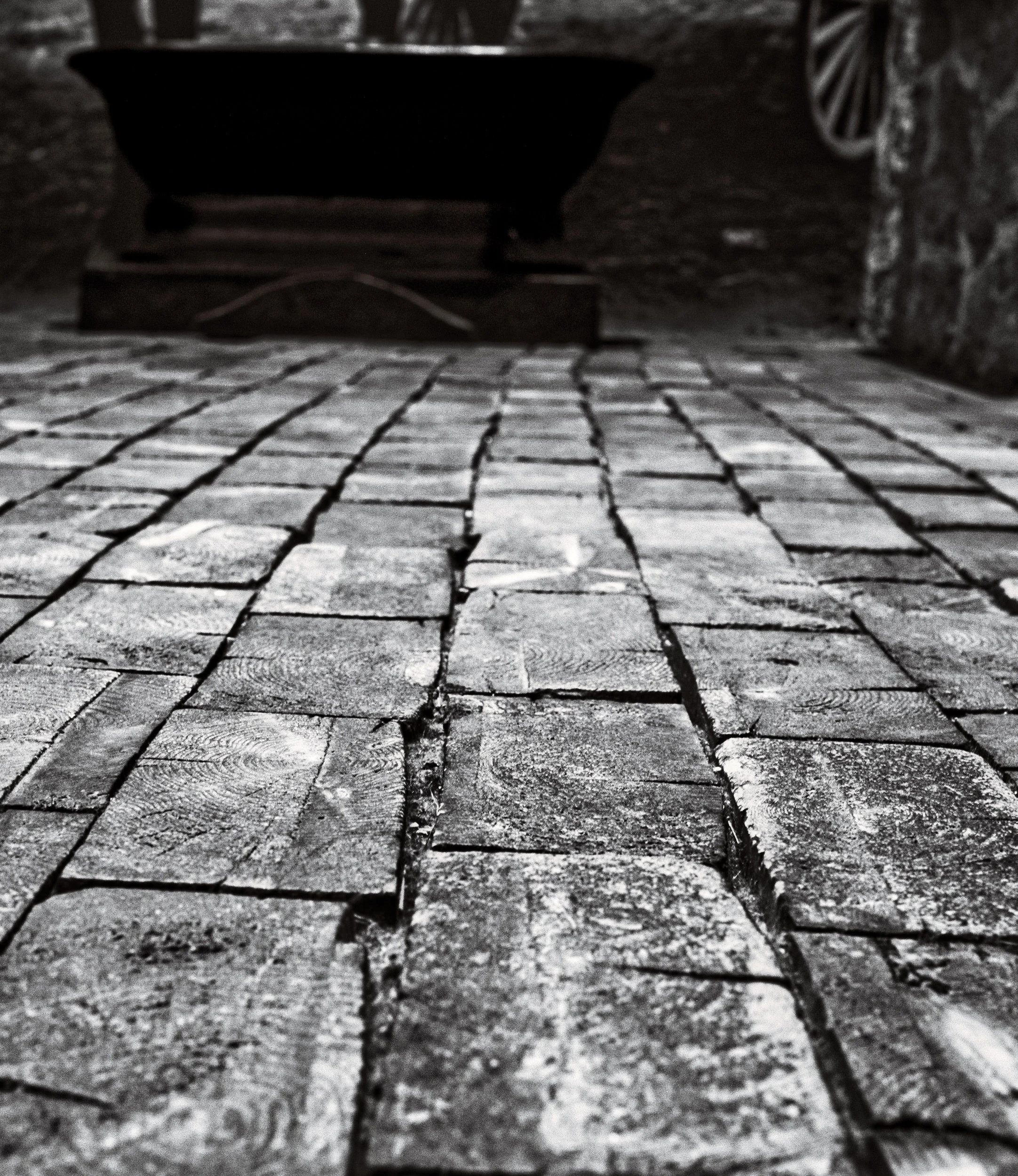 Worn by Footsteps | Manitoba Museum, Winnipeg, Manitoba