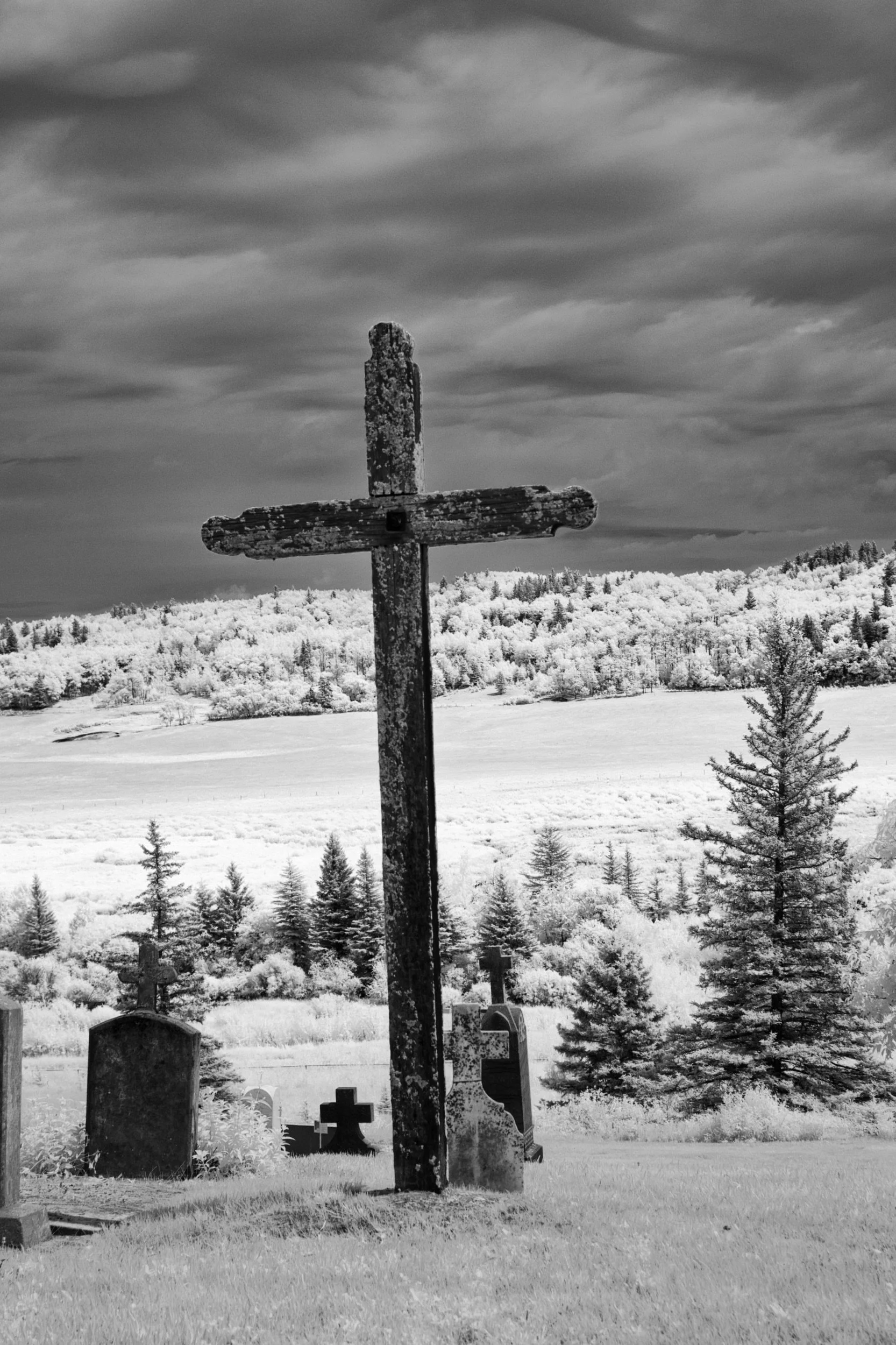 Witness | Polonia, Manitoba