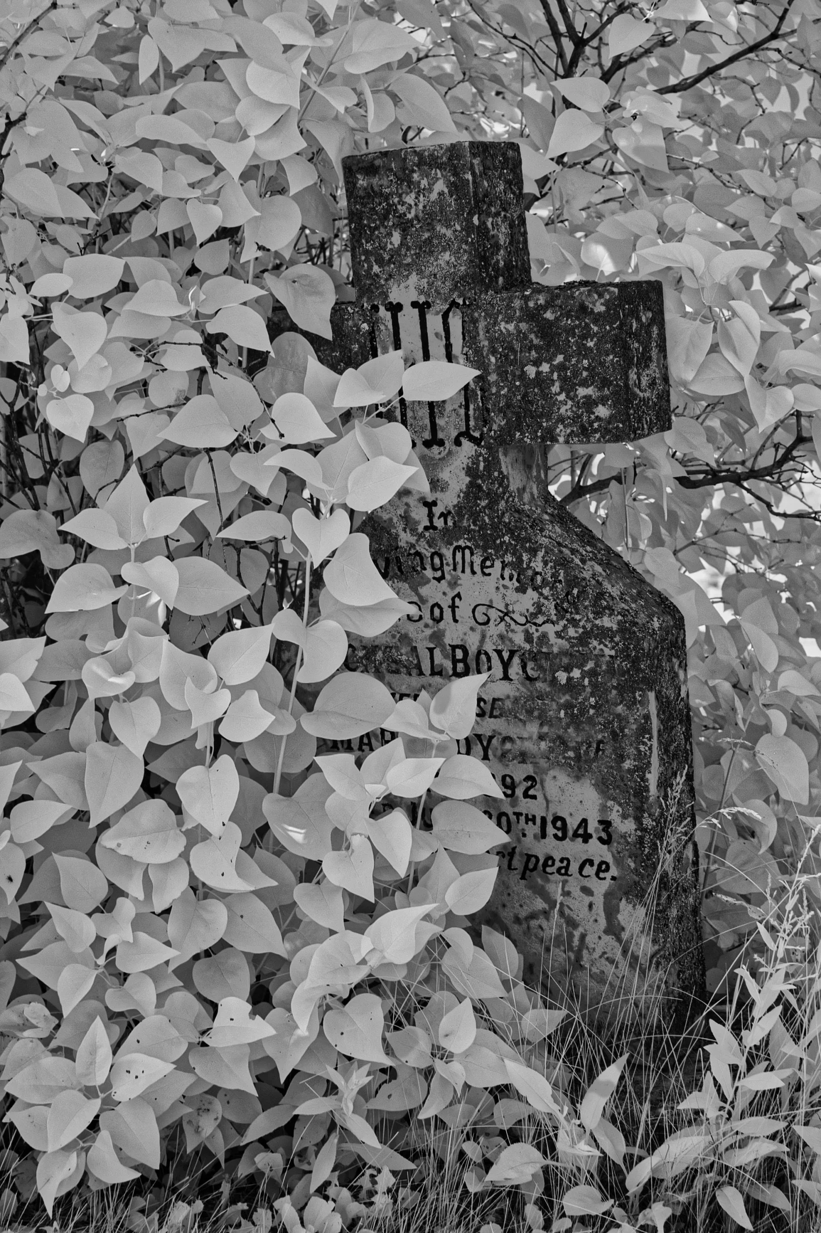 Forgotten, Not Lost | St. Peter, Dynevor Old Stone Church, Selkirk, Manitoba