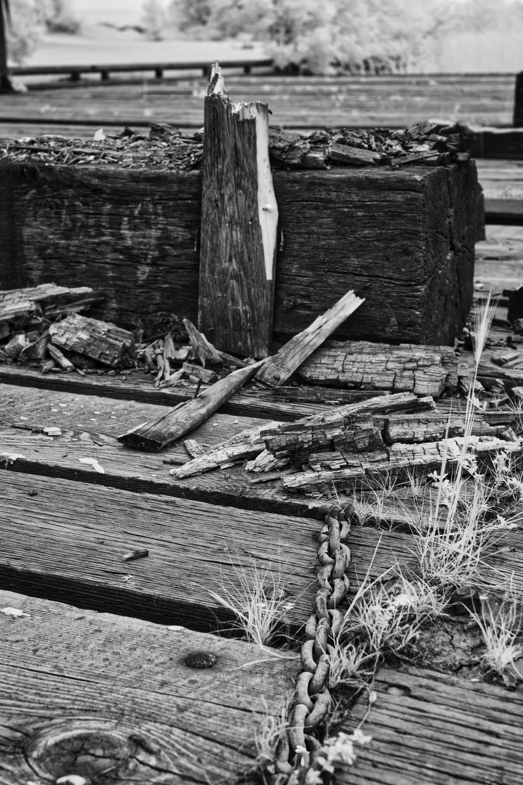 Remnants | Selkirk, Manitoba