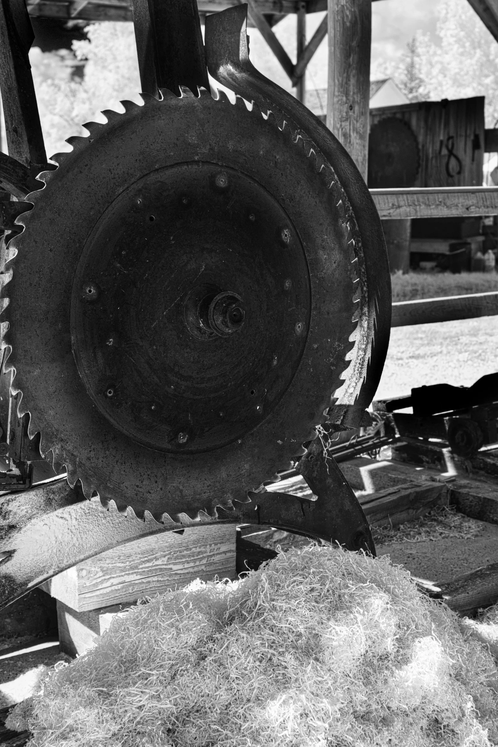 Saw Blade | Mennonite Heritage Village, Steinbach, Manitoba