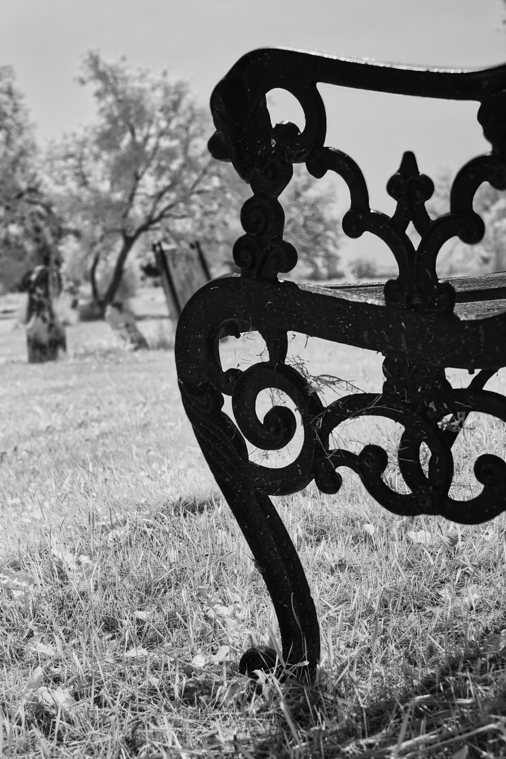 An Empty Seat | St. Peter, Dynevor Old Stone Church, Selkirk, Manitoba