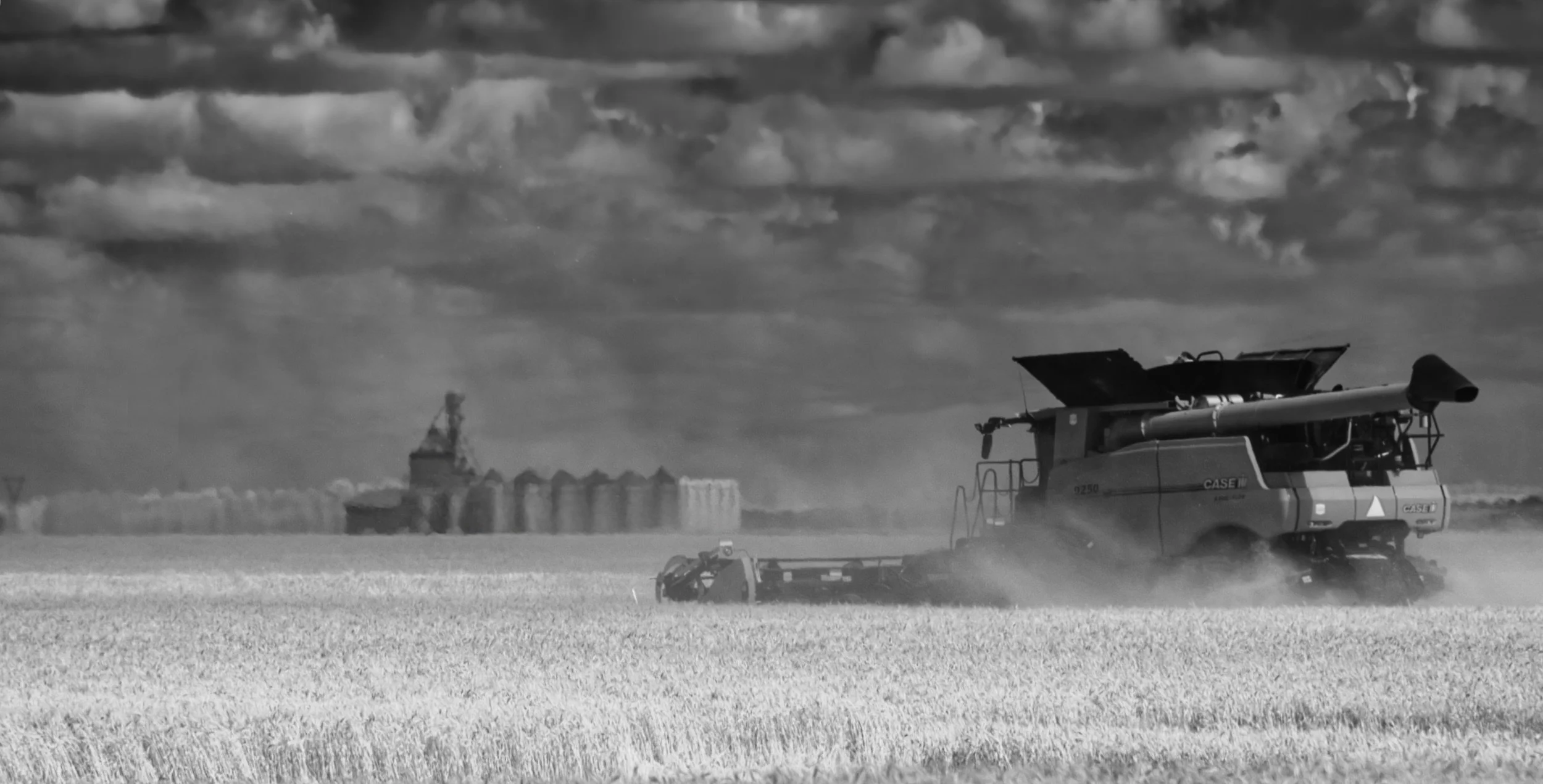 From Field to Elevator | St. Francois Xavier, Manitoba