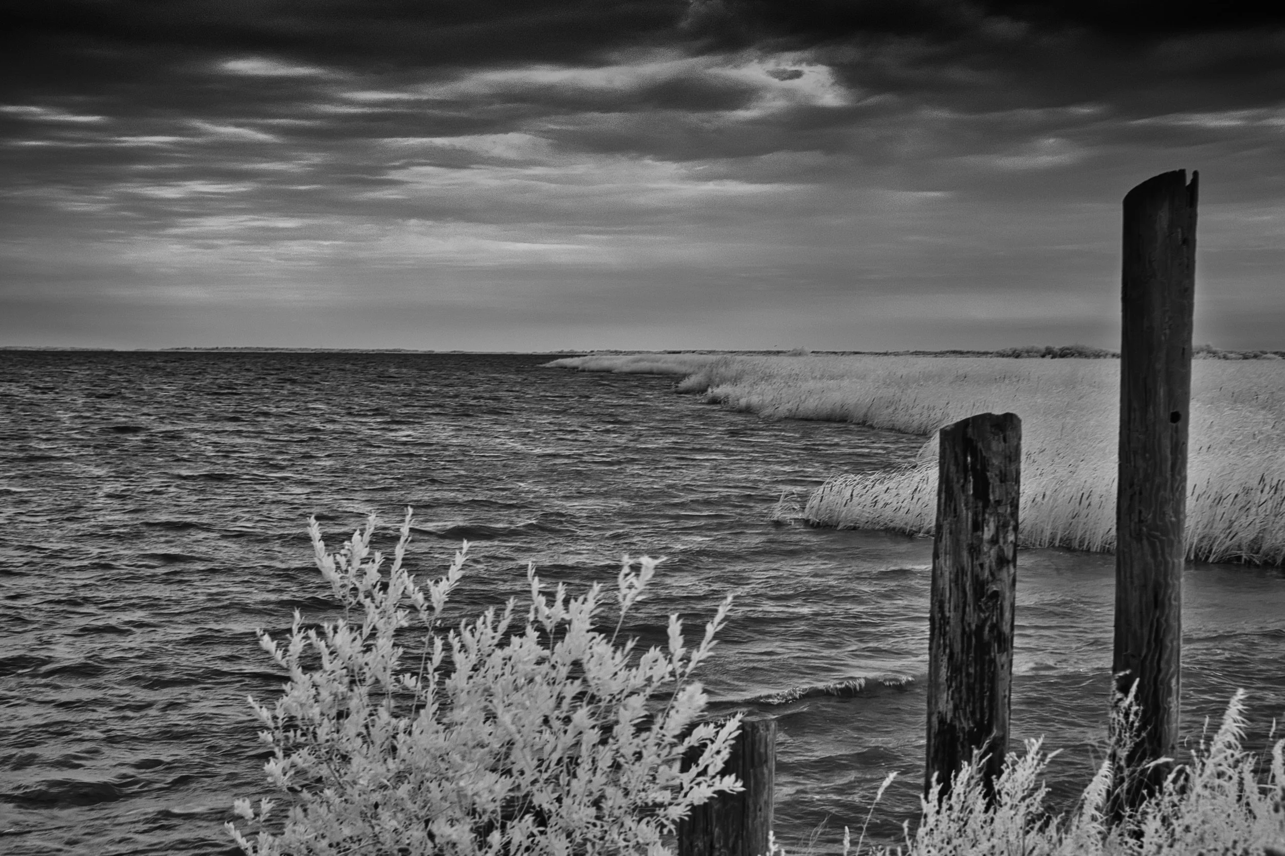 Shore Guardians | Hecla, Manitoba