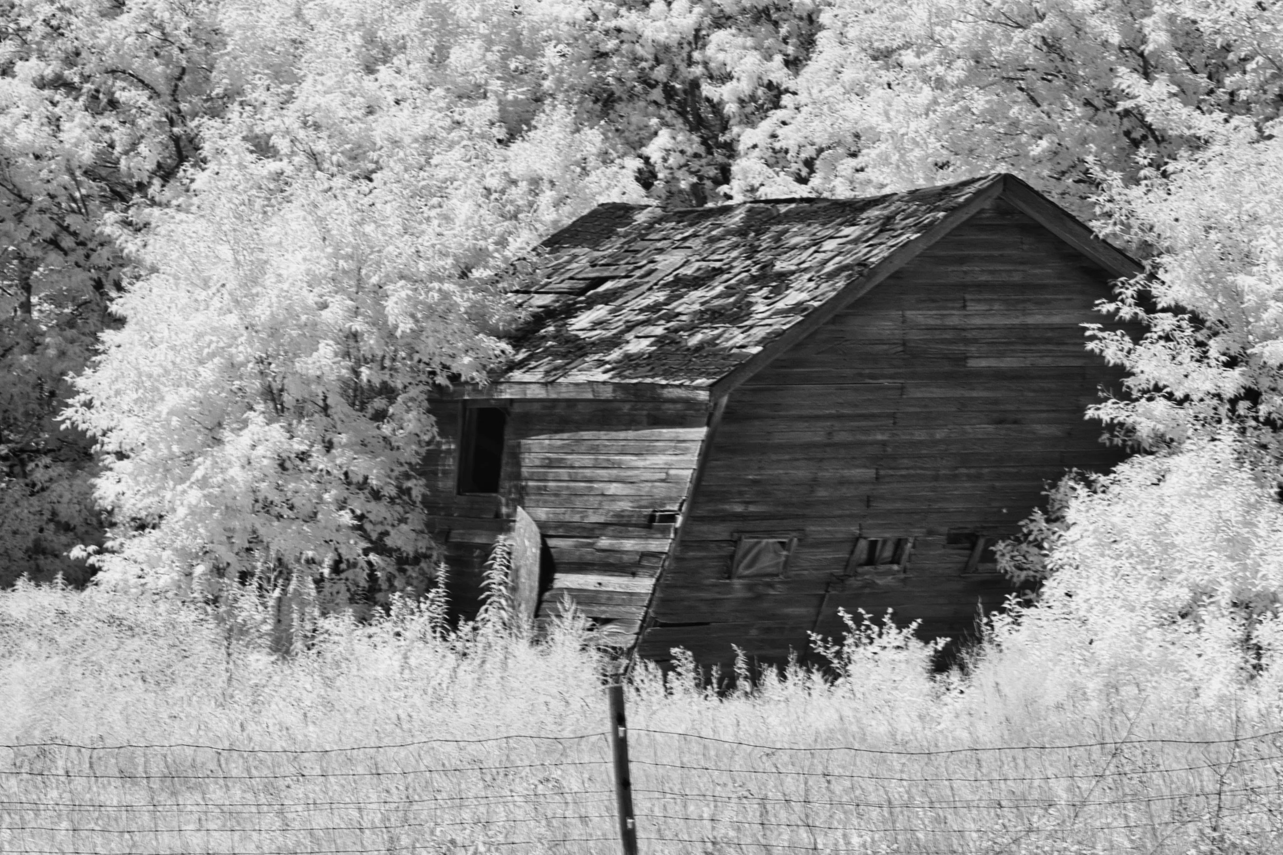 The Last Barn | Hecla, Manitoba