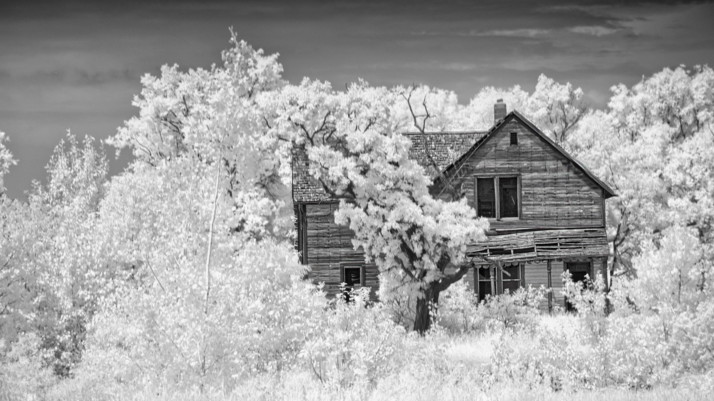 Absent Occupants | Polonia, Manitoba