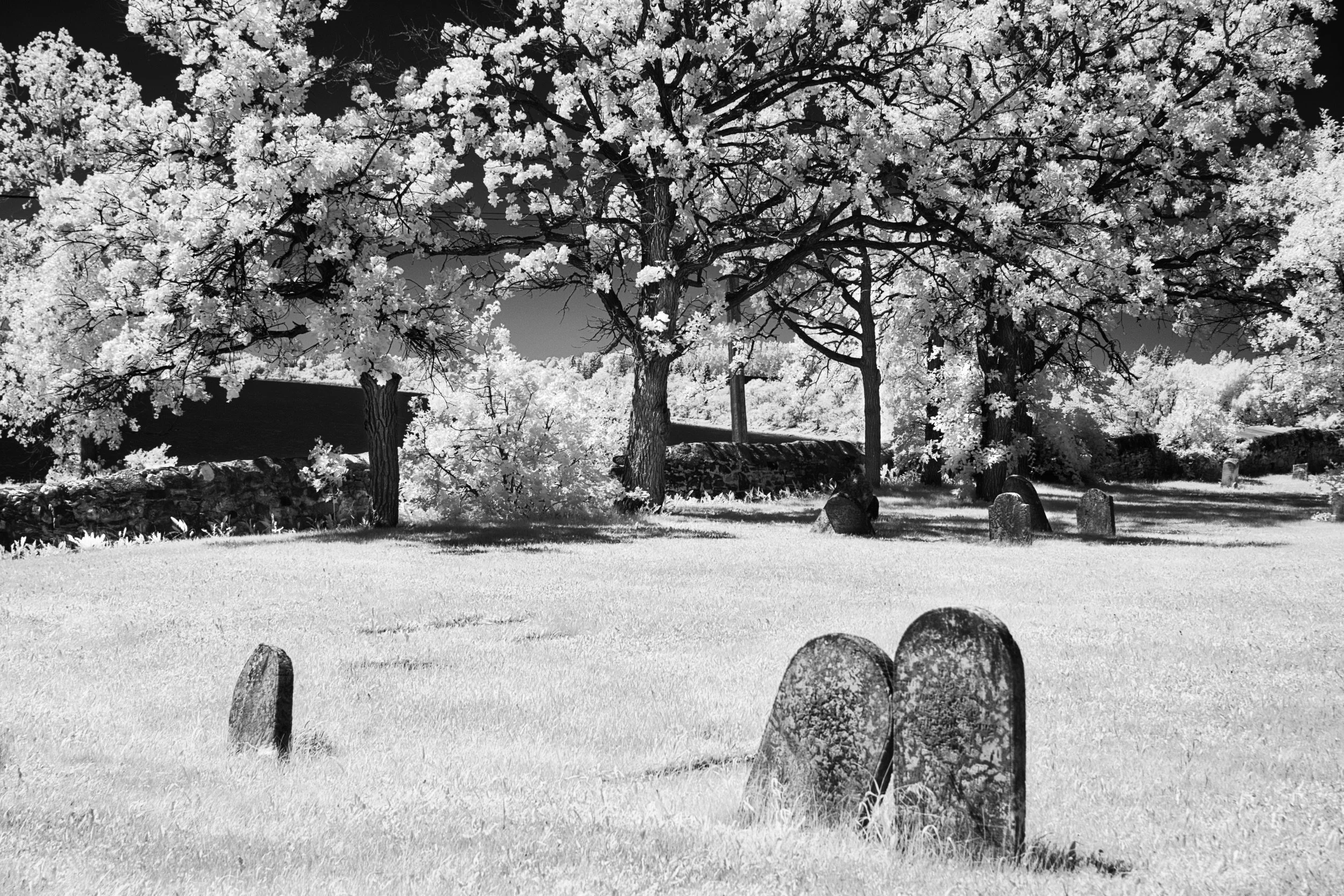 Together Forever | St. Andrew's on the Red, St. Andrew's, Manitoba