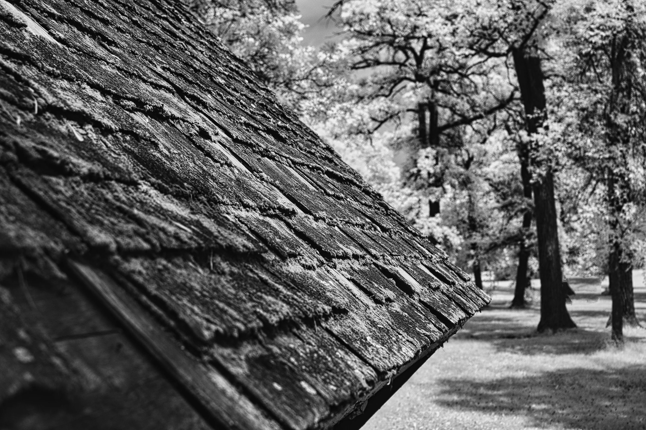 Timeworn | Winnipeg Beach, Manitoba