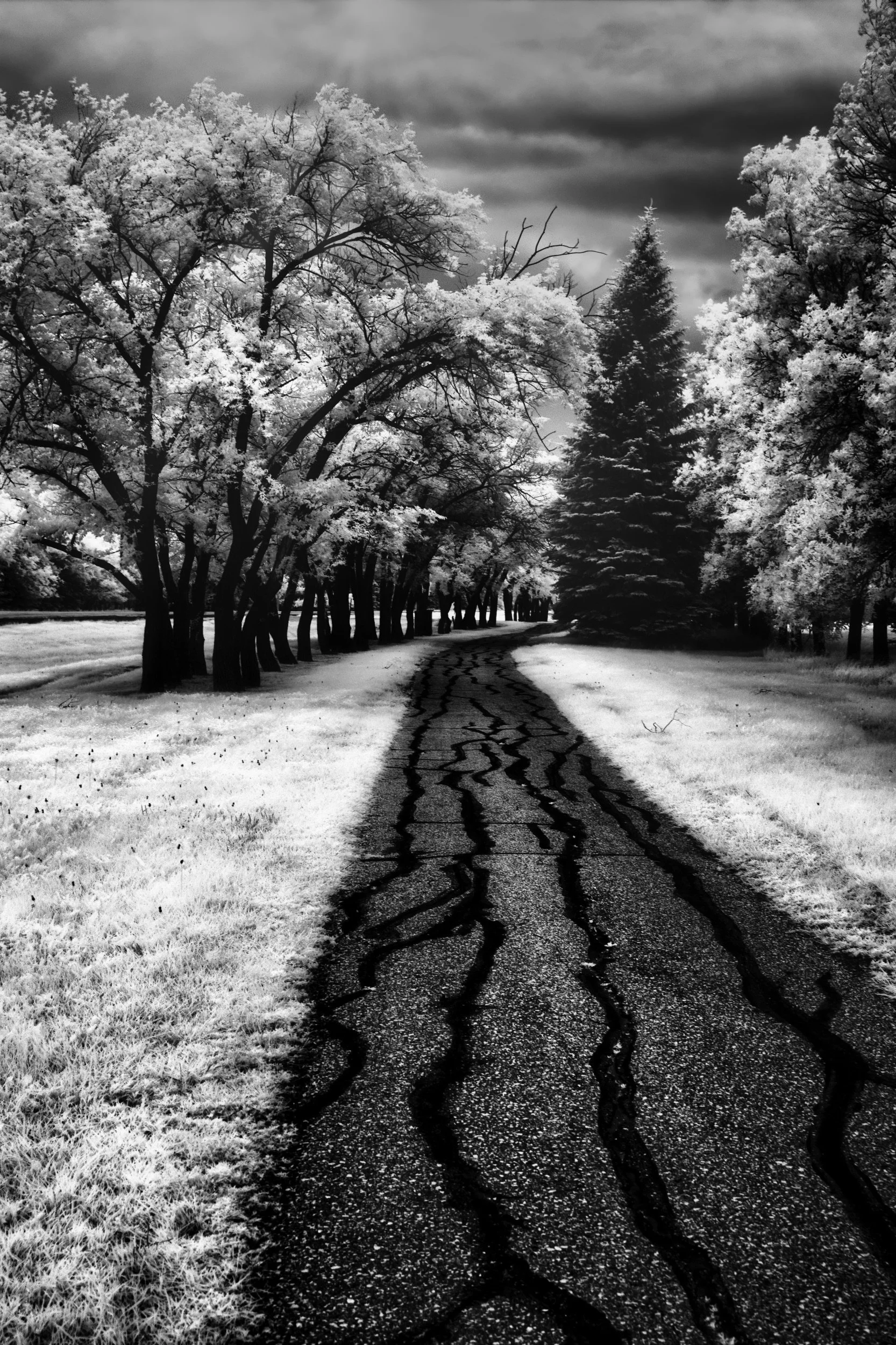 The Long Return | St. Francois Xavier, Manitoba