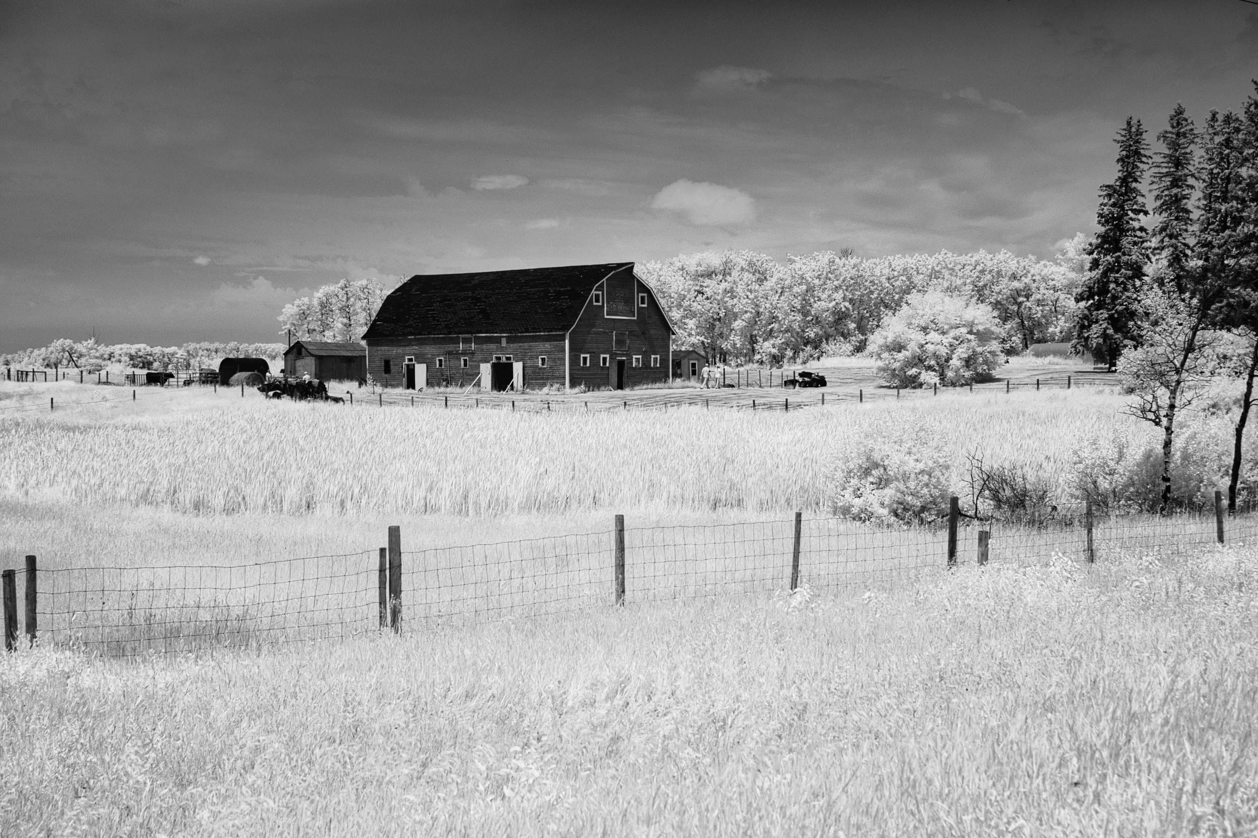 Across the Field | Minnedosa, Manitoba