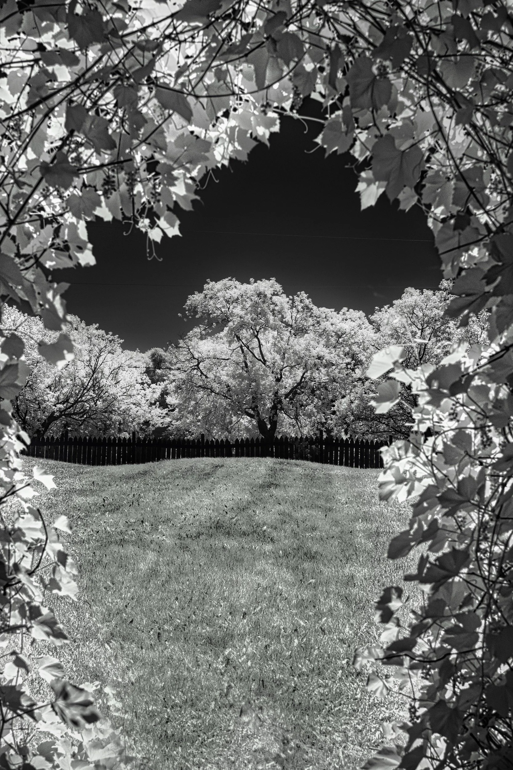 The Hidden Path | St. Andrew's Rectory, St. Andrew's, Manitoba