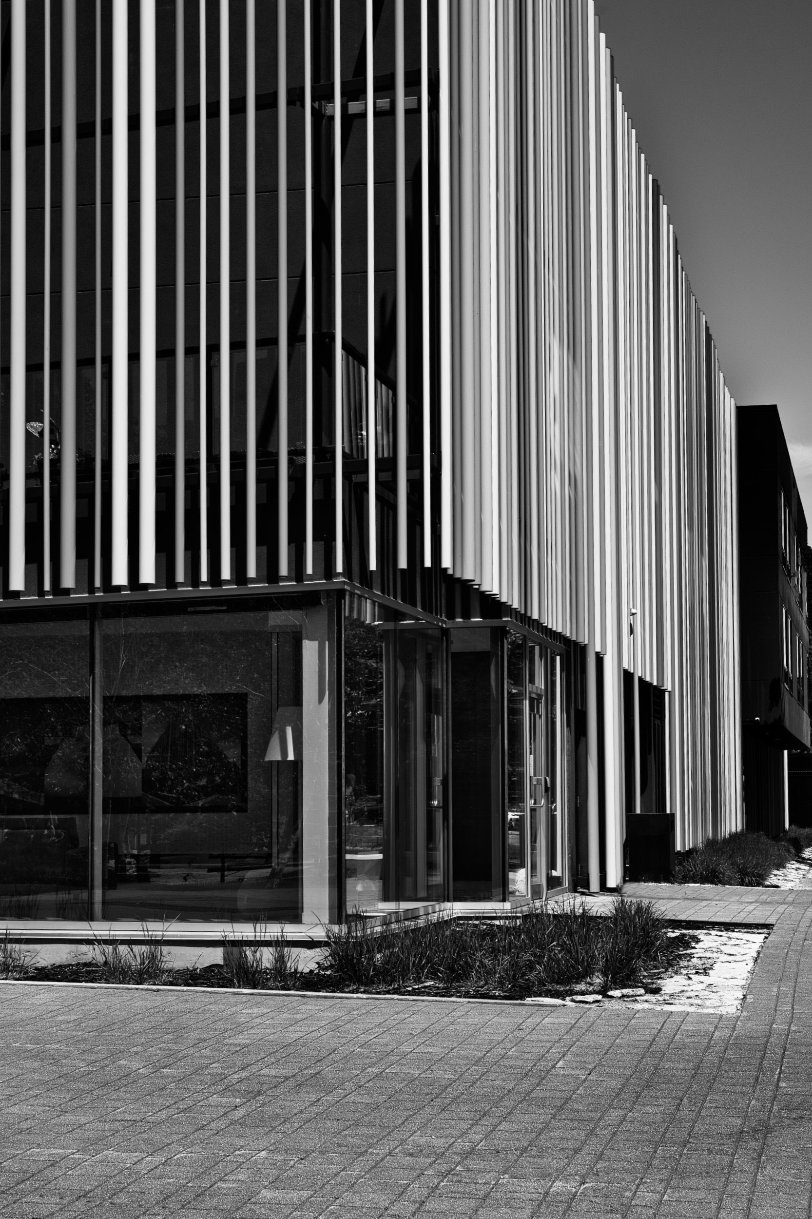 Lines of the City | Winnipeg, Manitoba