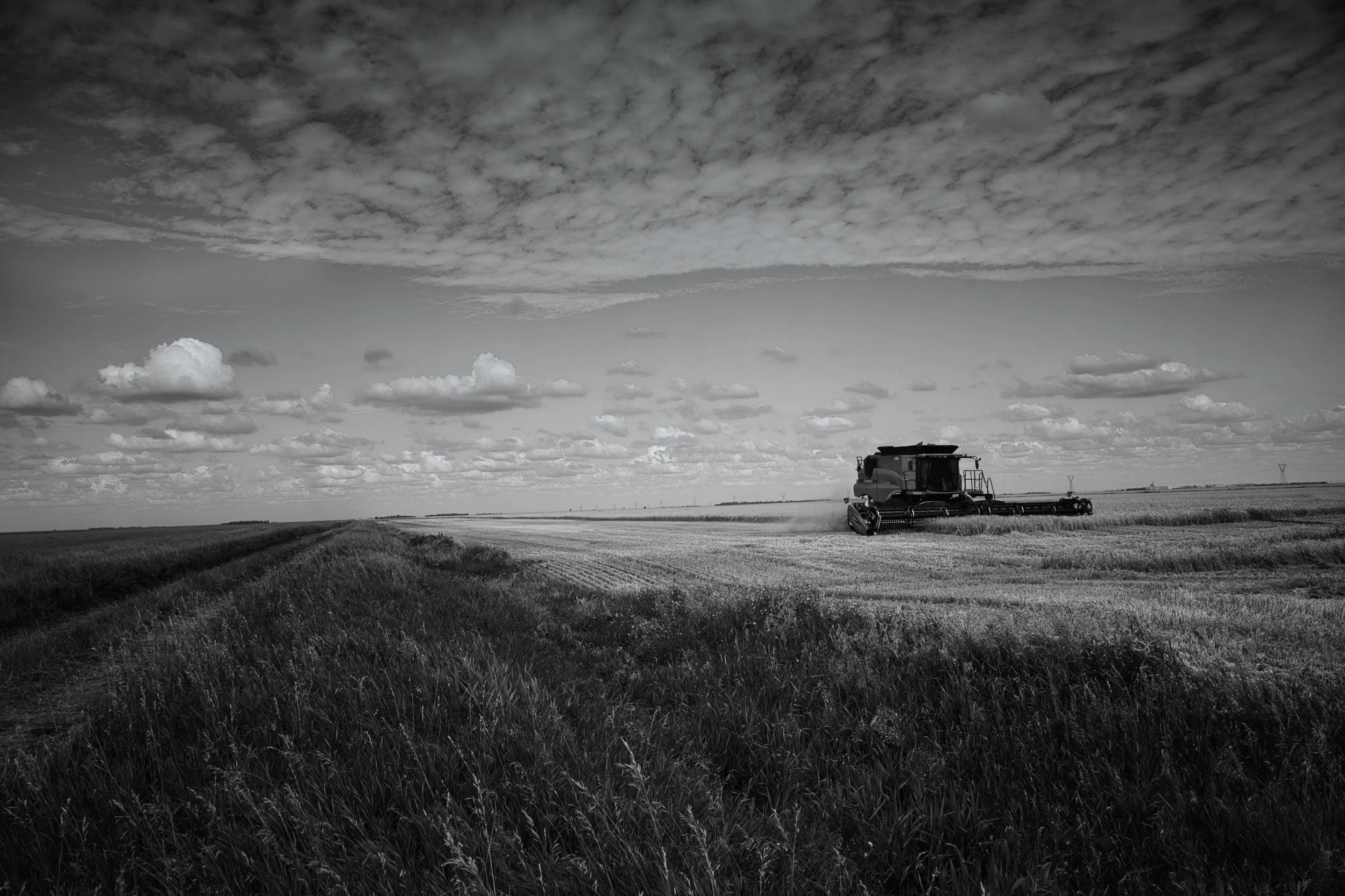 Wide Open | St. Francois Xavier, Manitoba