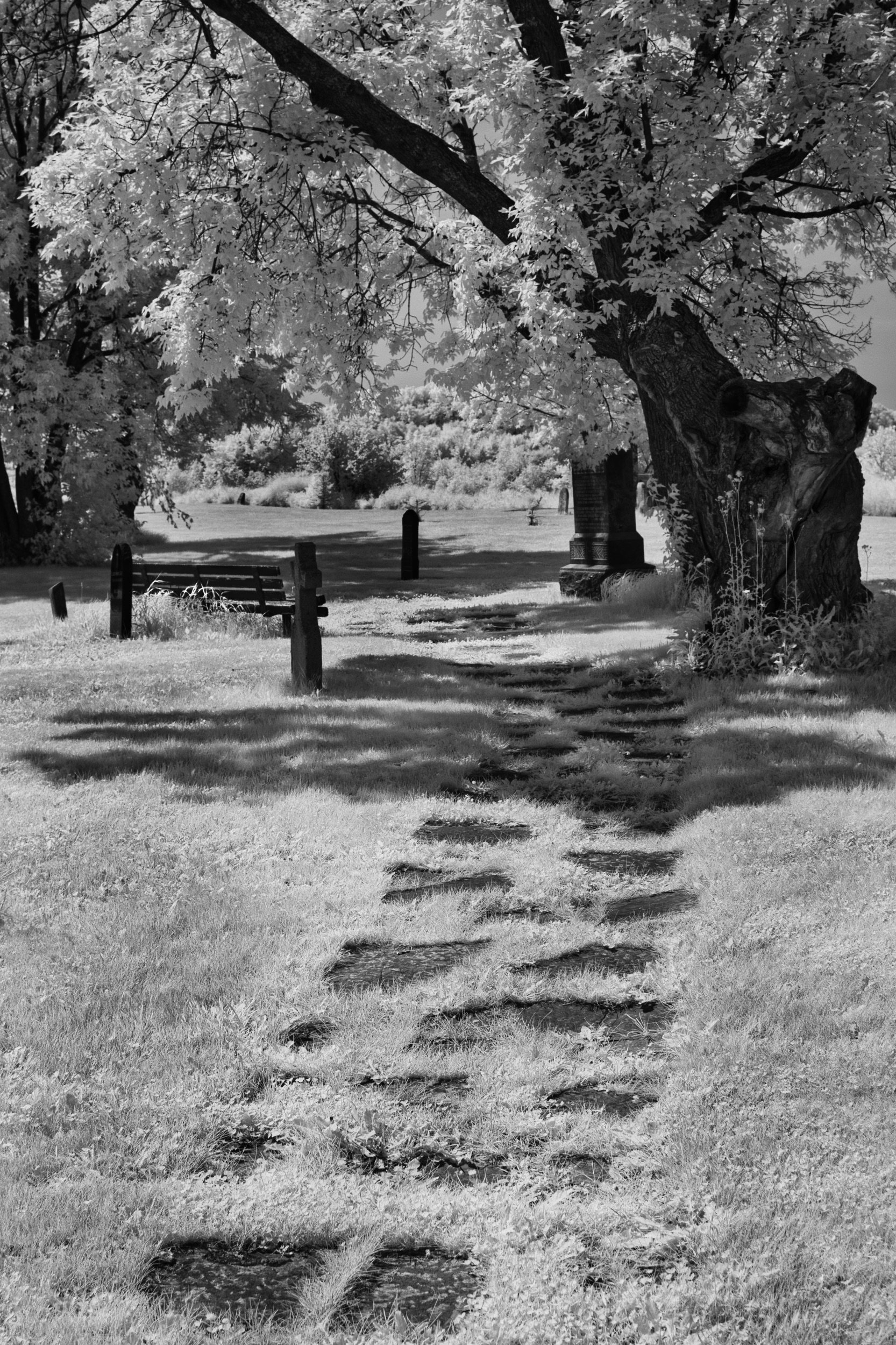 The Quiet Path | St. Peter, Dynevor Old Stone Church, Selkirk, Manitoba