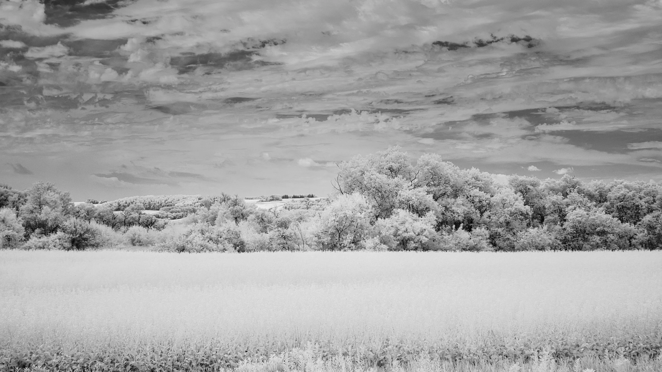 Prairie Sky | Highway 16, Manitoba