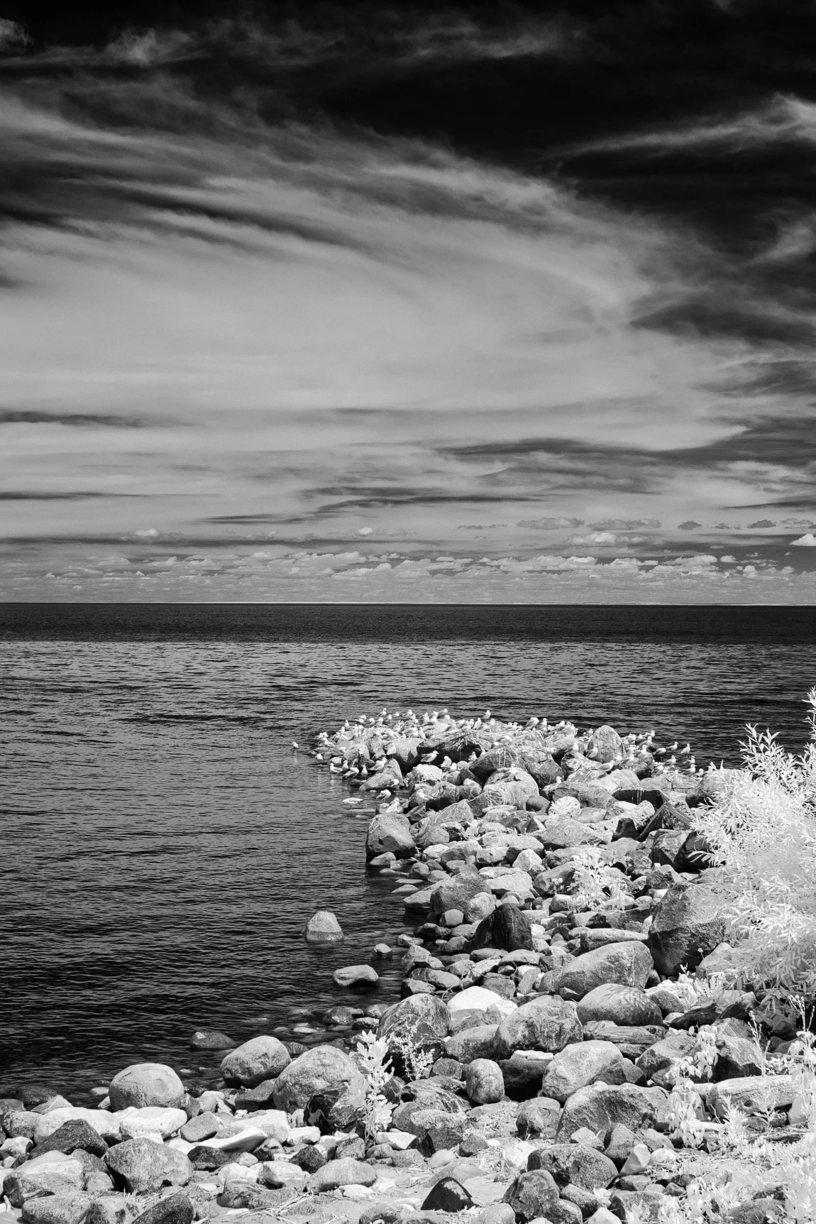 Shoreline | Winnipeg Beach, Manitoba