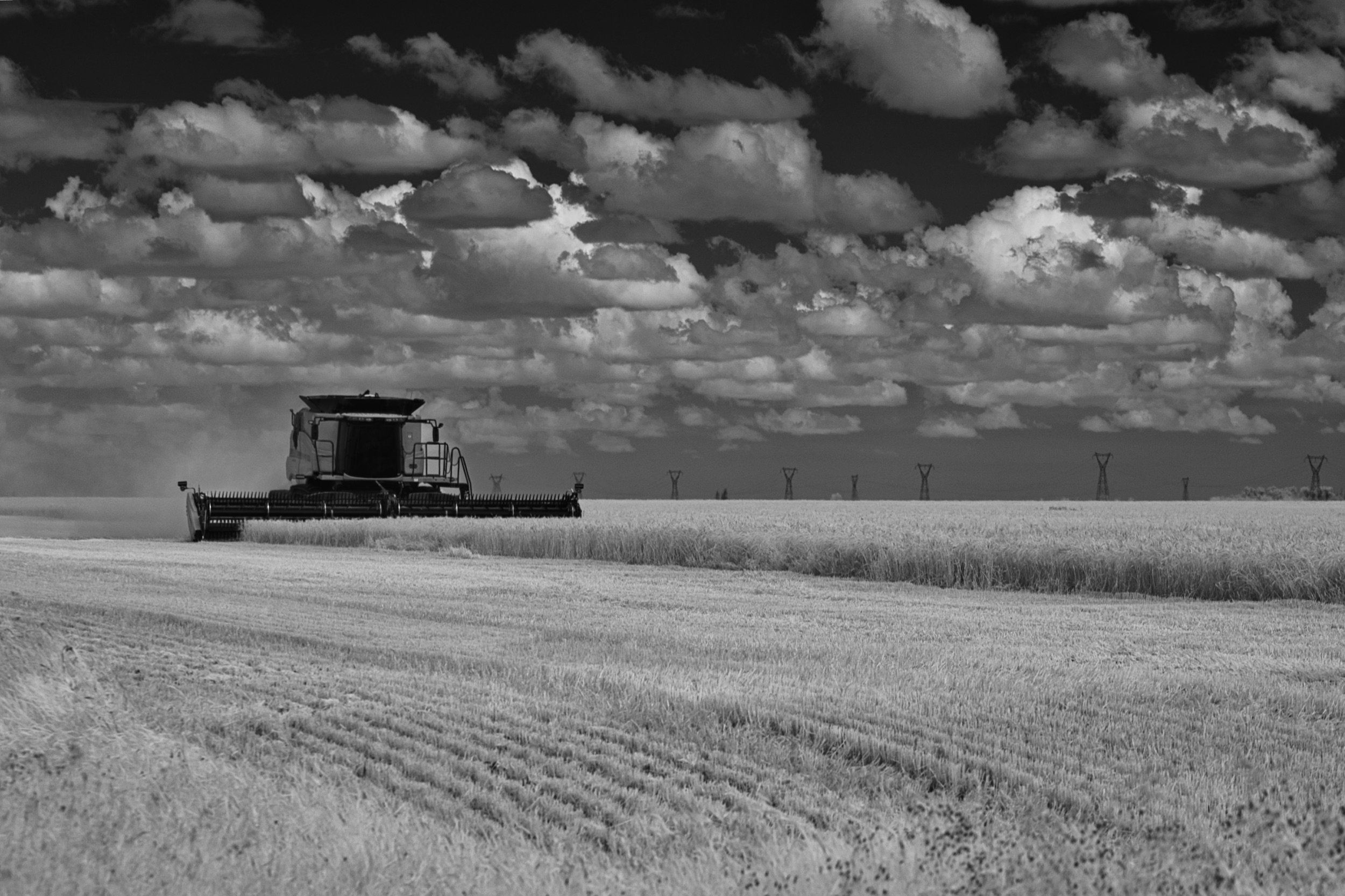 Working The Horizon | St. Francois Xavier, Manitoba