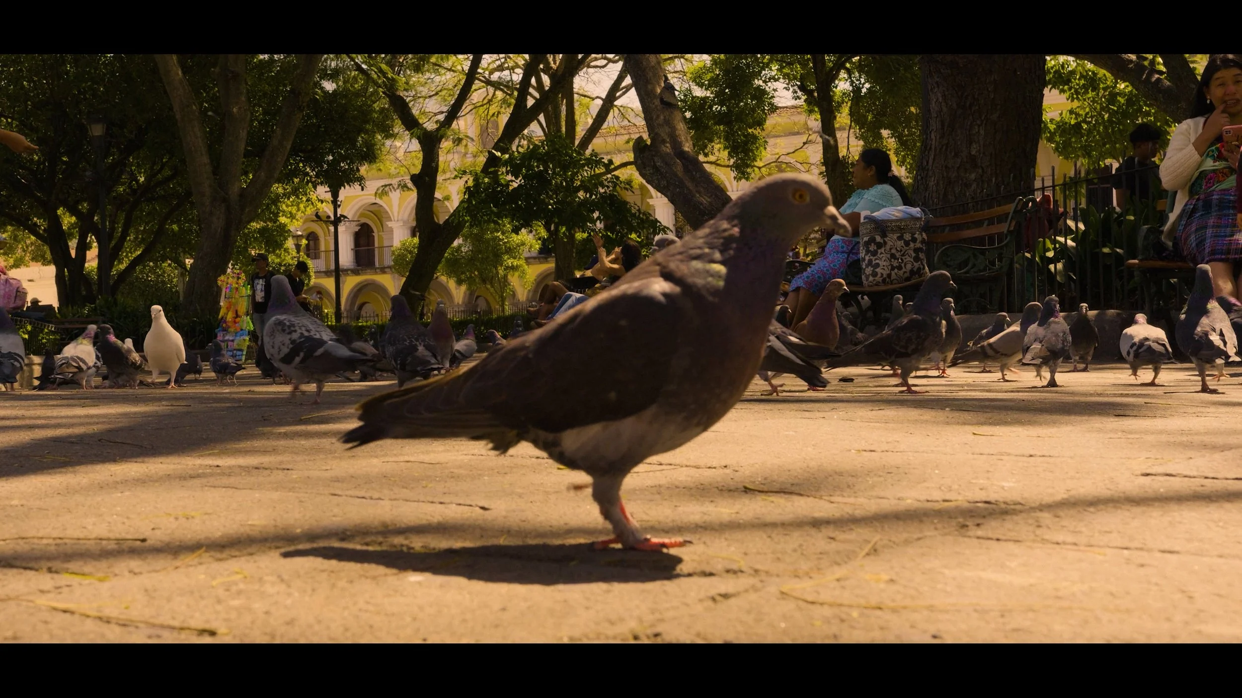 Te Amo Guatemala Still 14.jpg