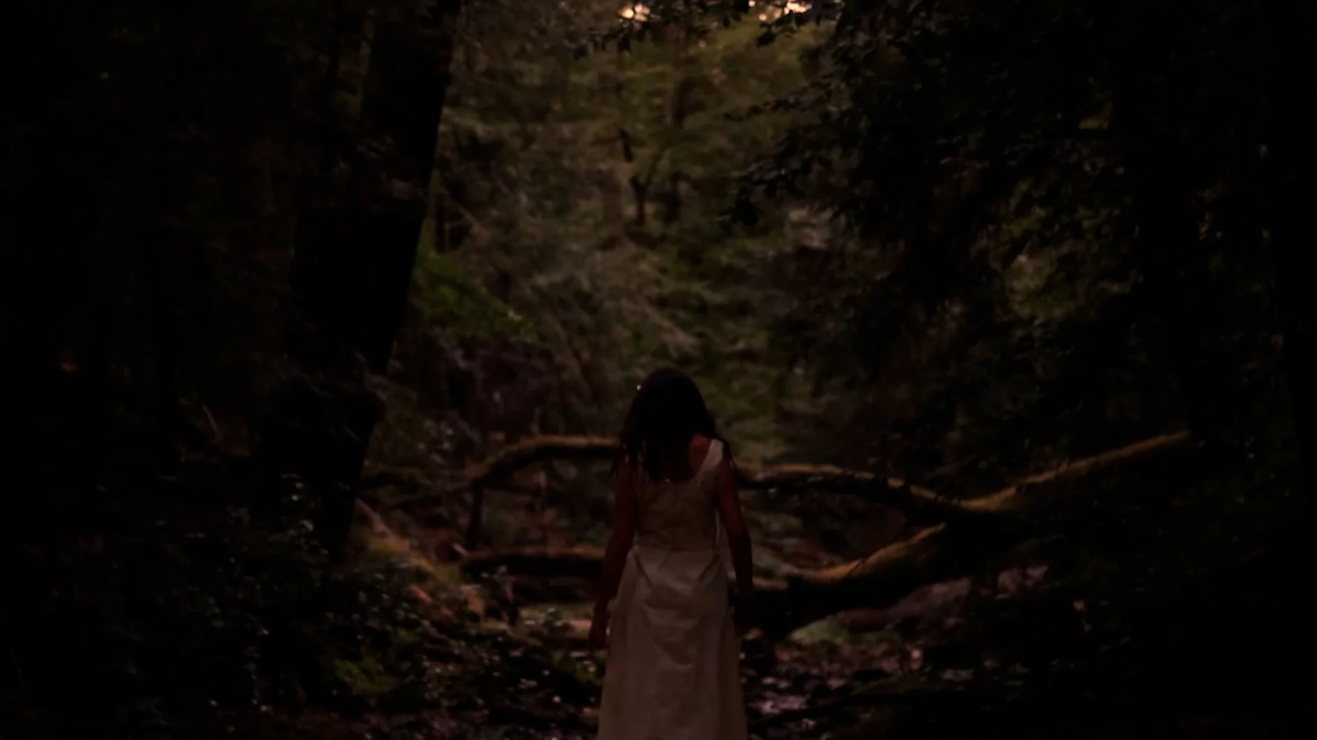 Additional Photography Still42.jpg