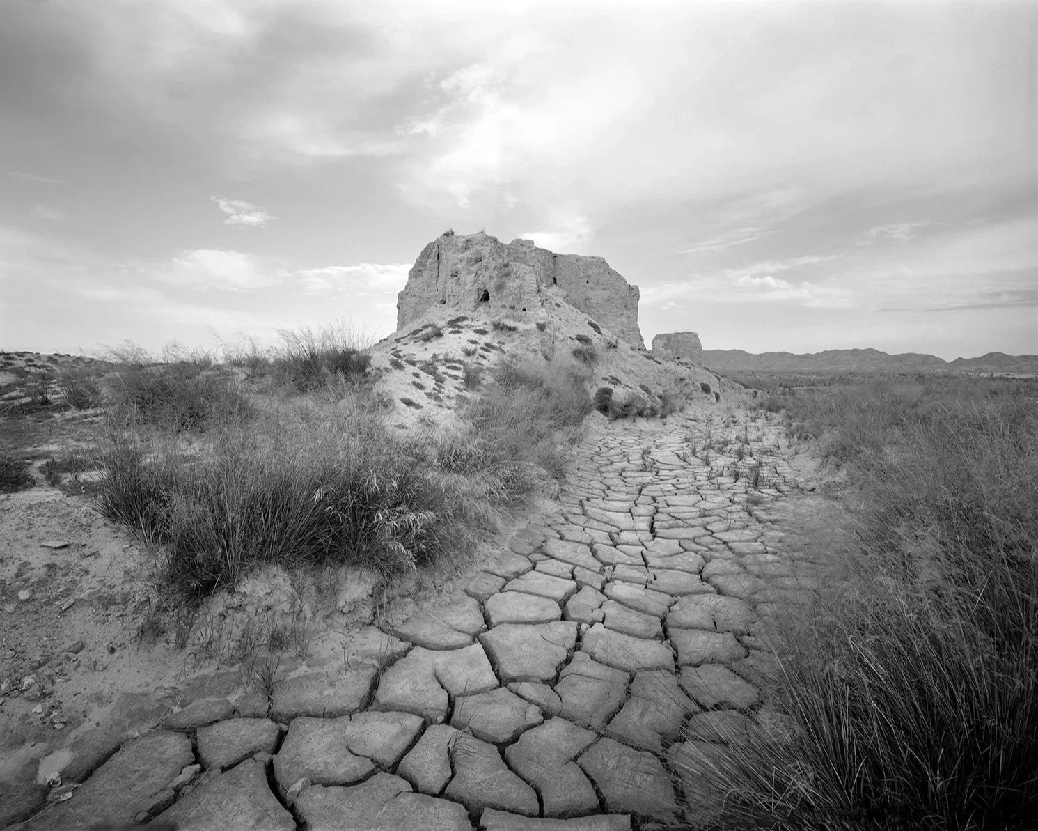 Shandan, Gansu, 2012