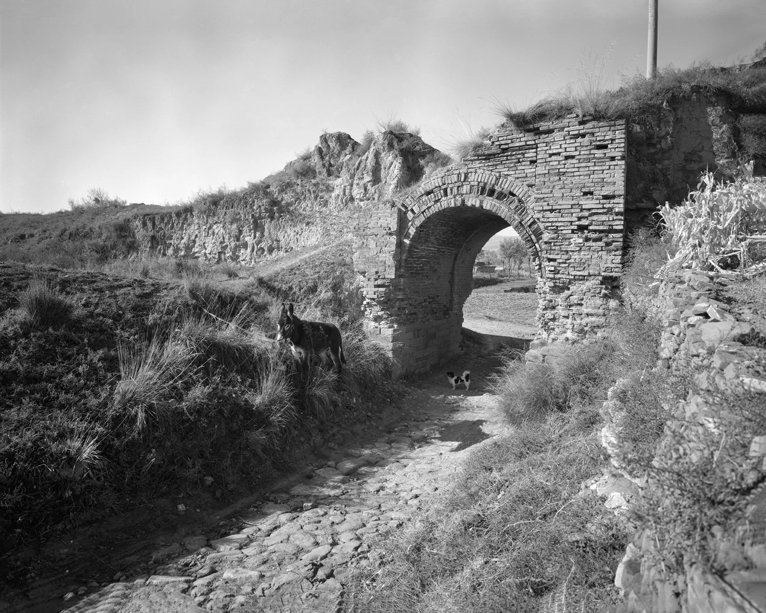 Shahu Fort, Shanxi, China, 2008