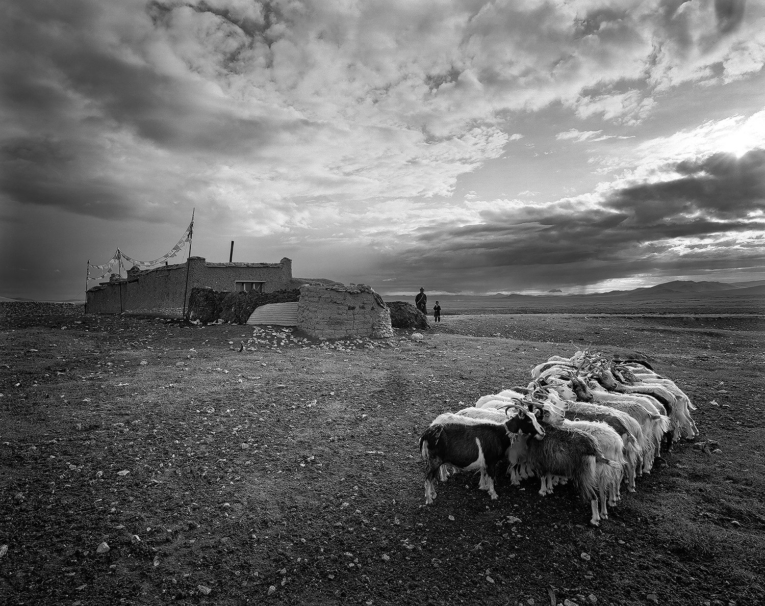 Nagqu, Tibet, 2006