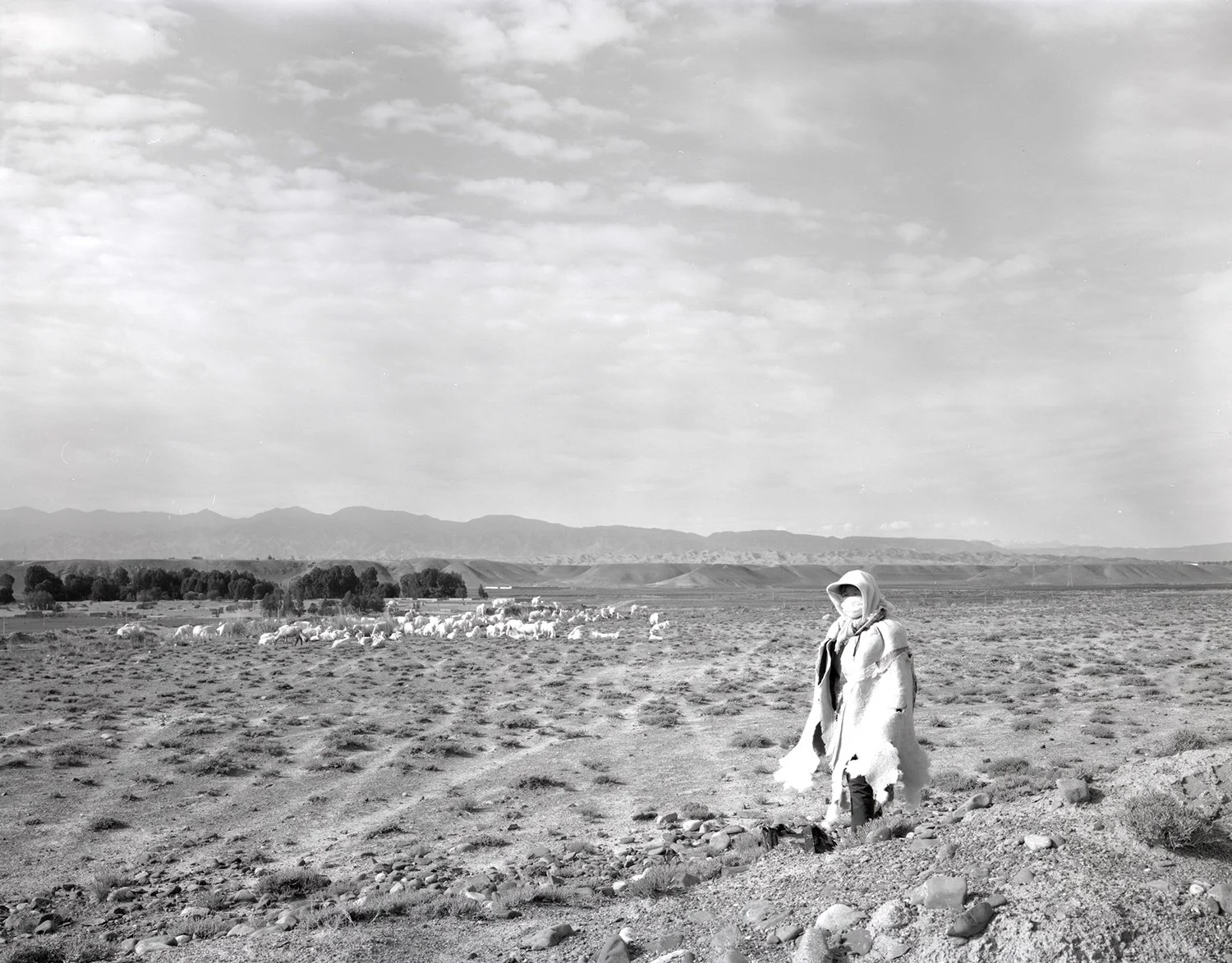 A shepherdess in a sheepskin coat, Yongchang, Gansu, 2017