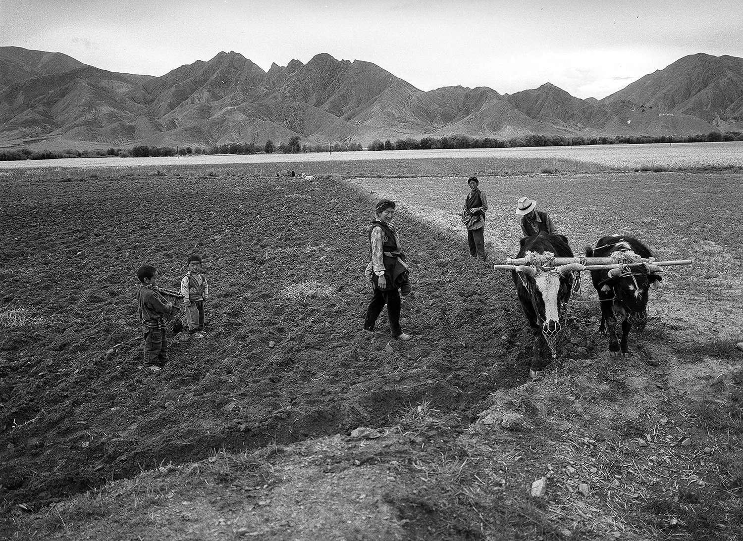 Nagqu, Tibet